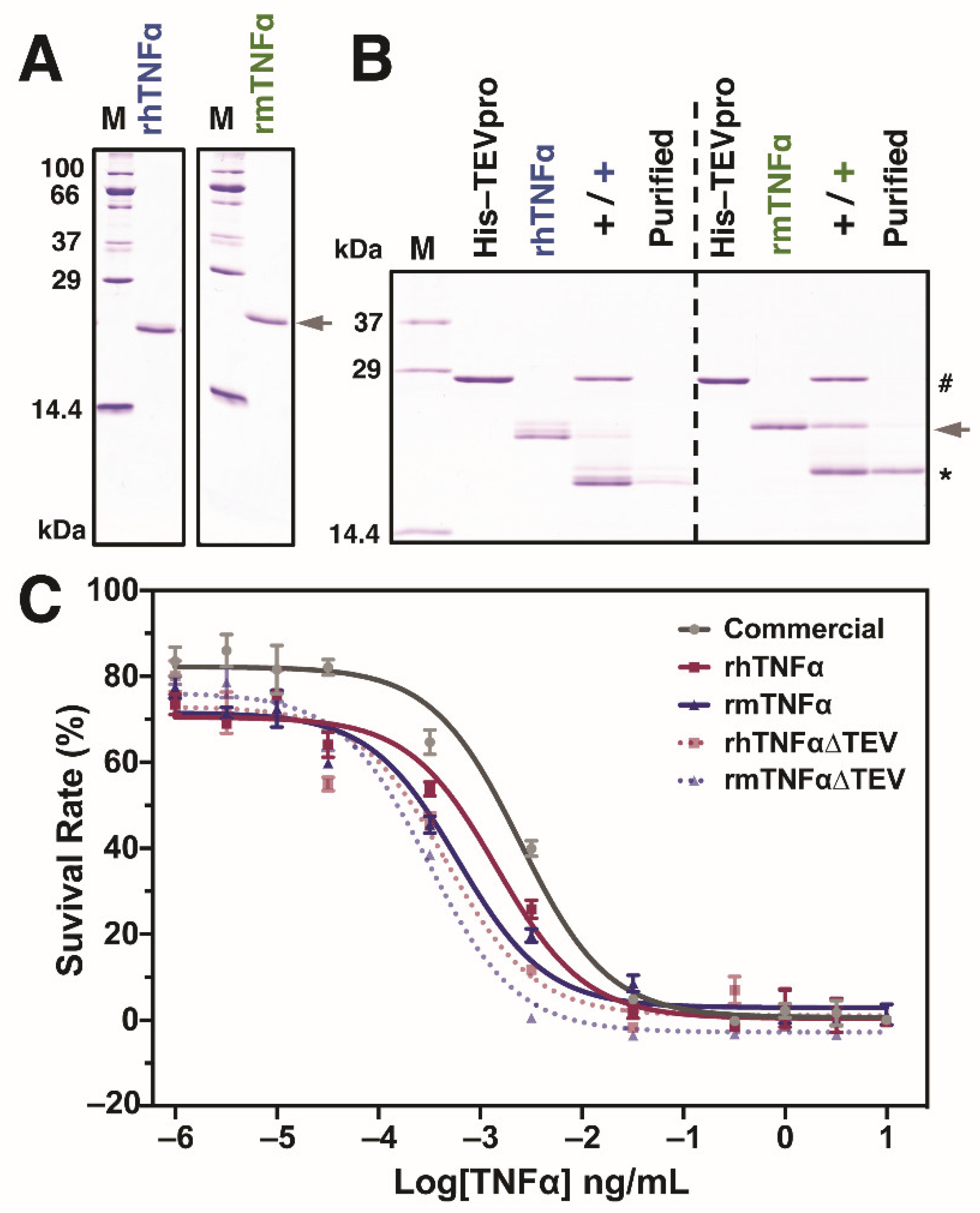 Insects 12 00517 g003