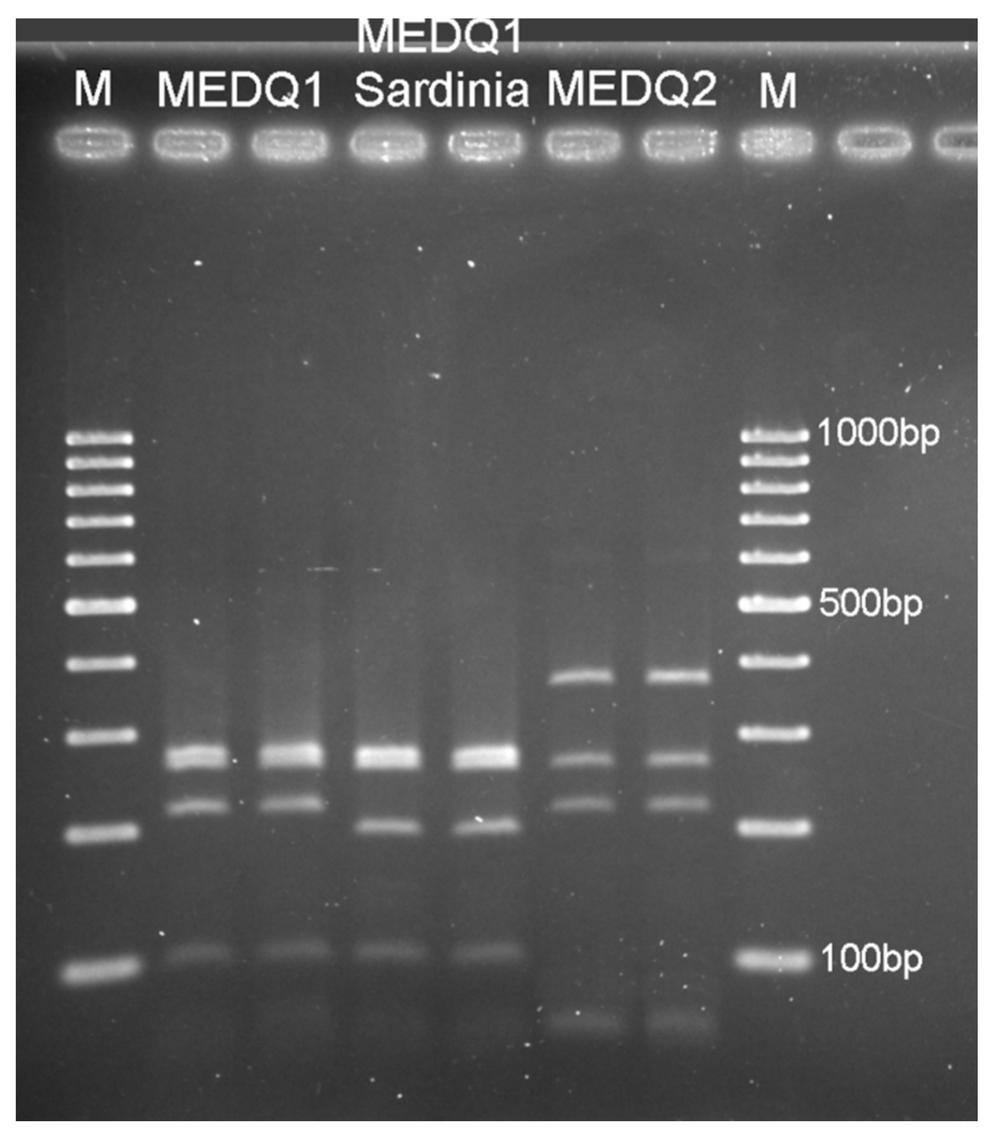 Insects 12 00521 g003 Insects 12 00521 g003