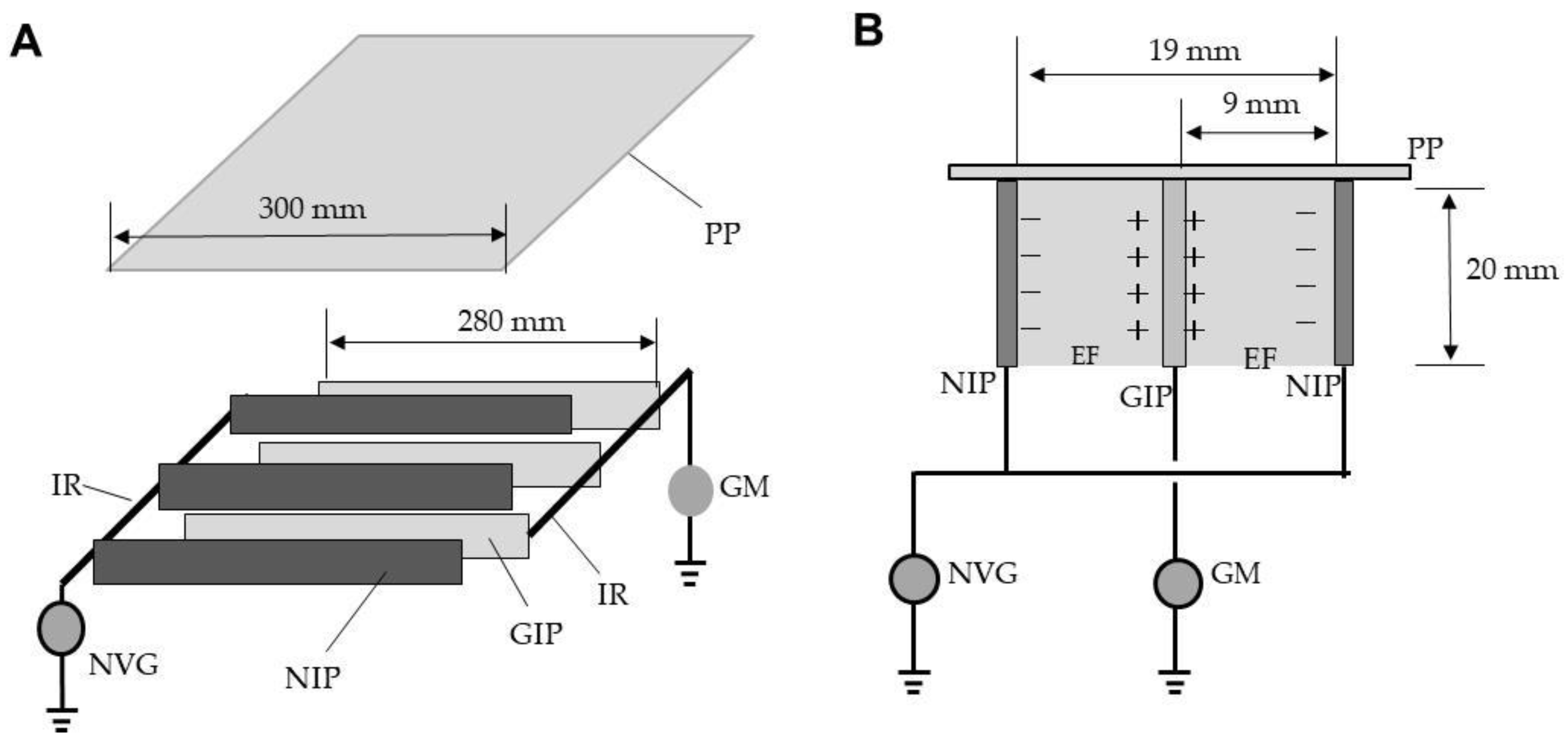 Insects 12 00522 g001