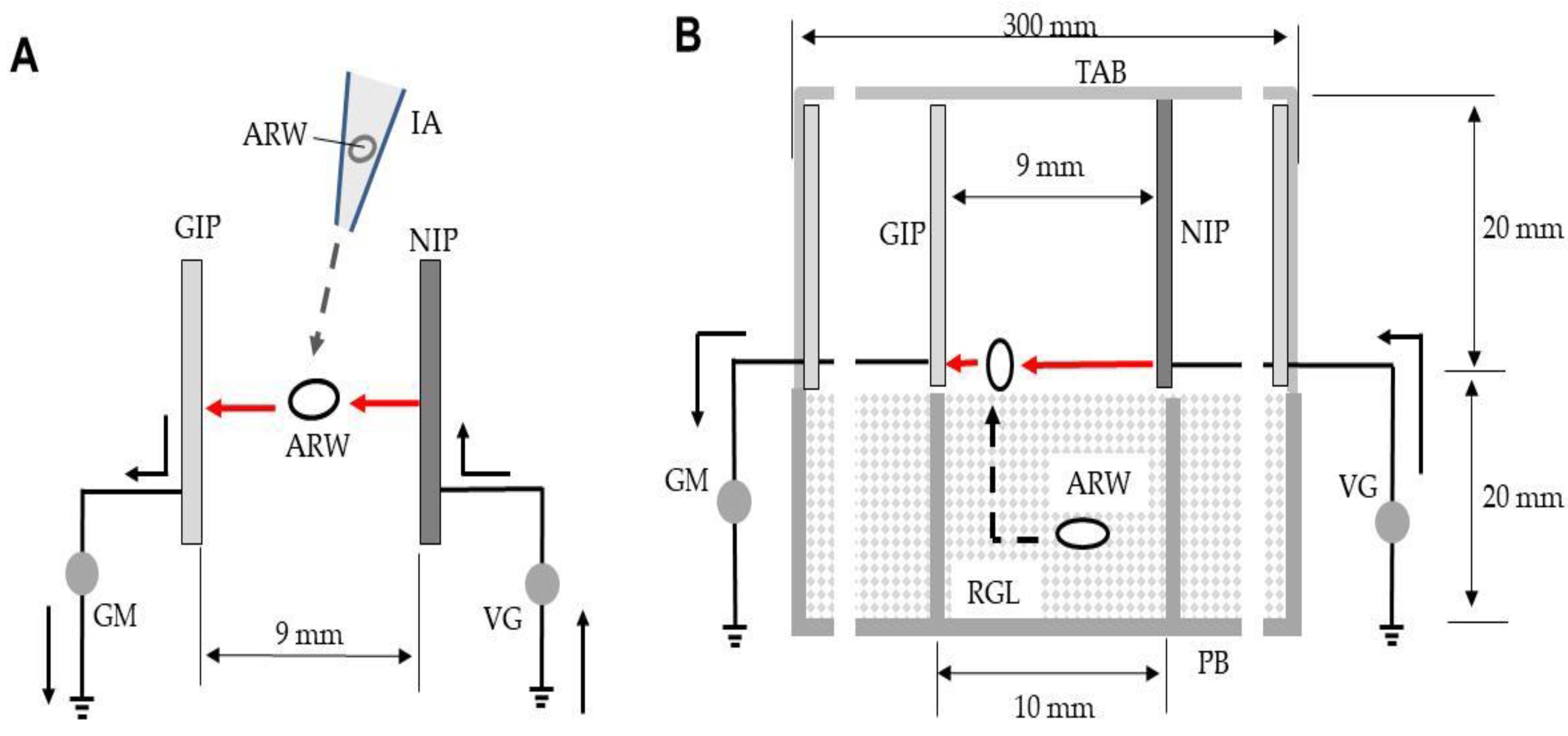 Insects 12 00522 g002