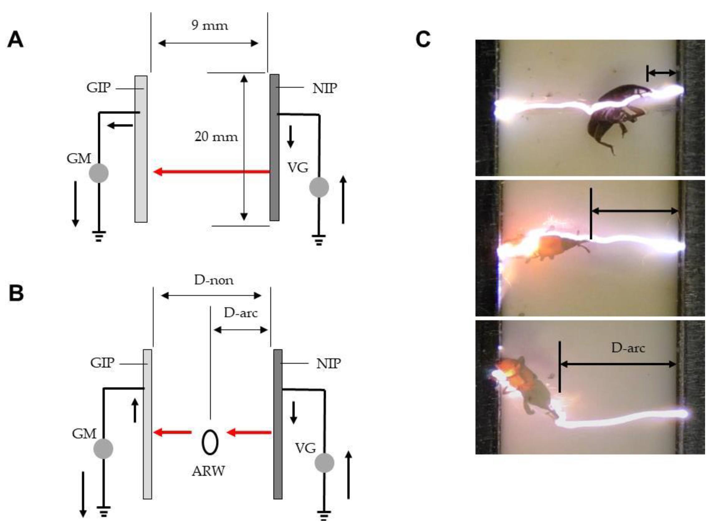 Insects 12 00522 g005
