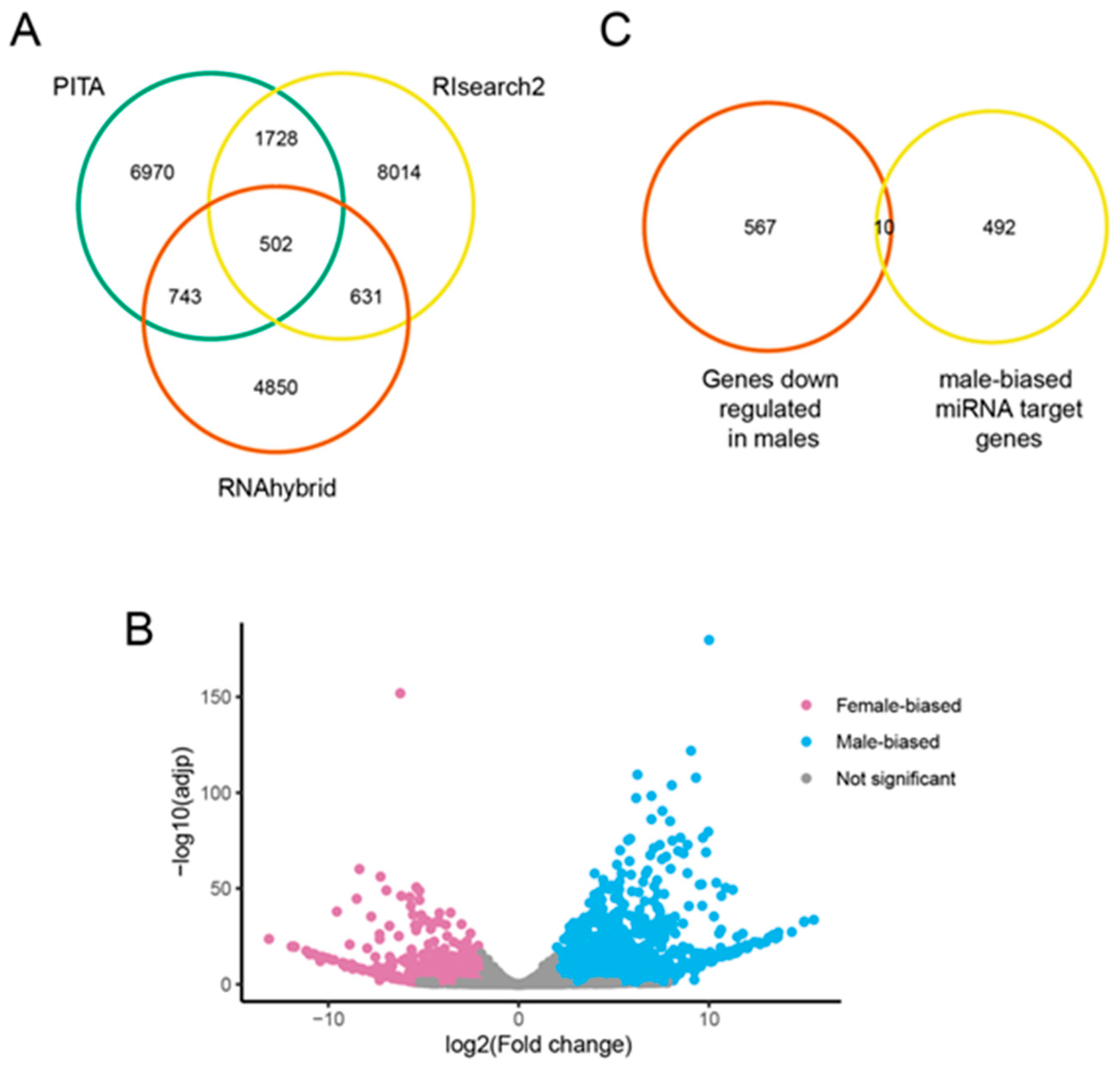 Insects 12 00533 g004