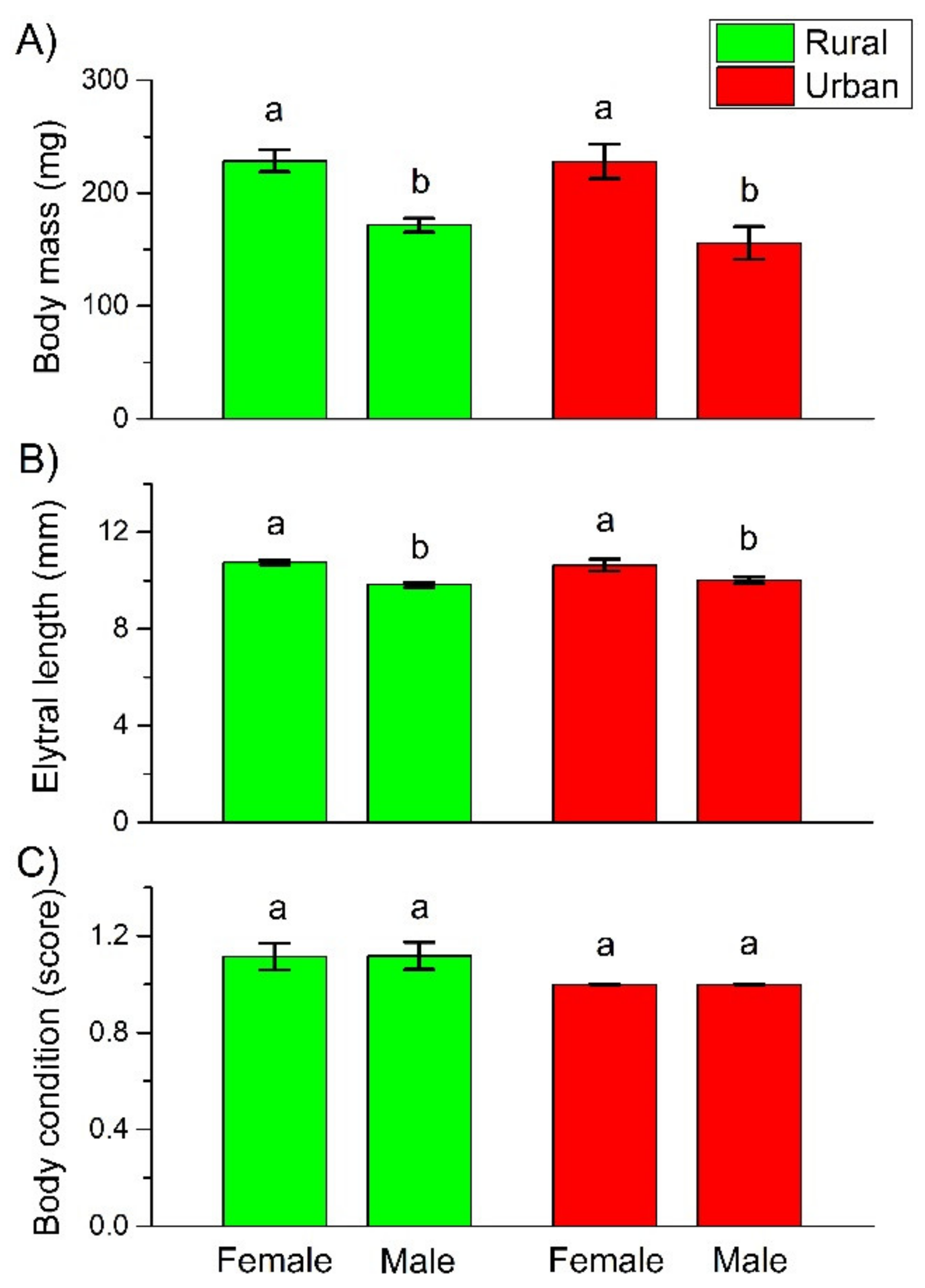 Insects 12 00540 g001