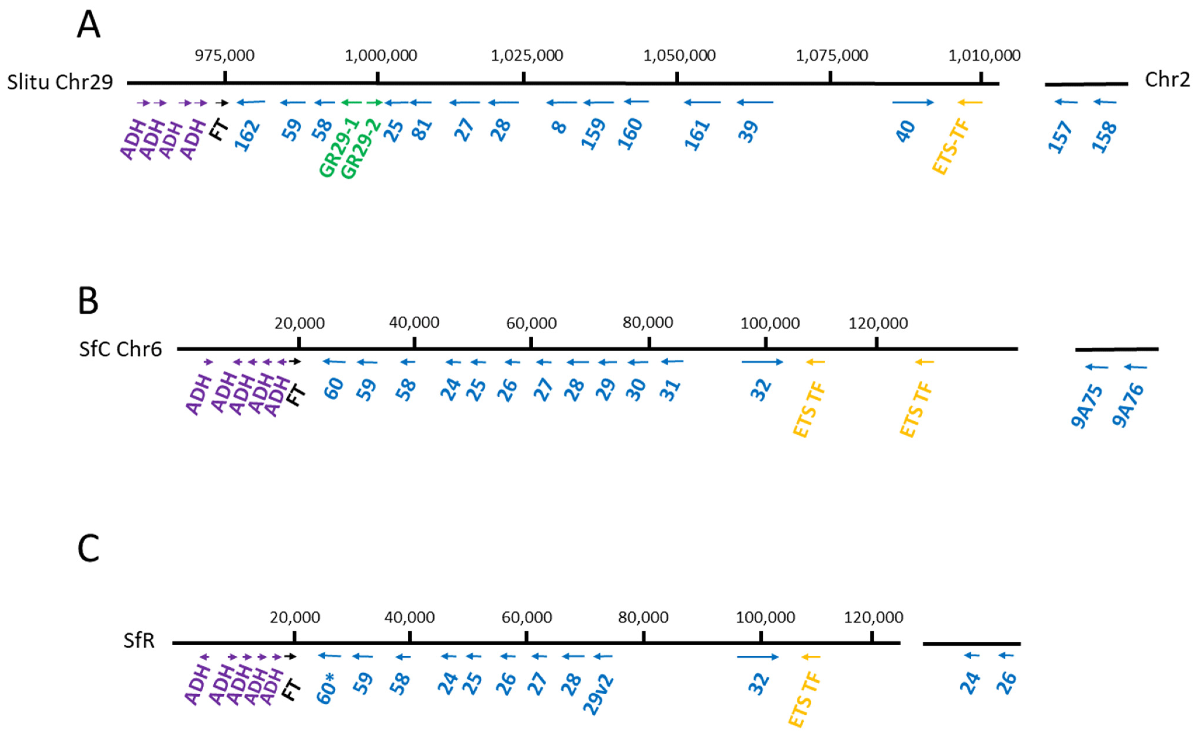Insects 12 00544 g001