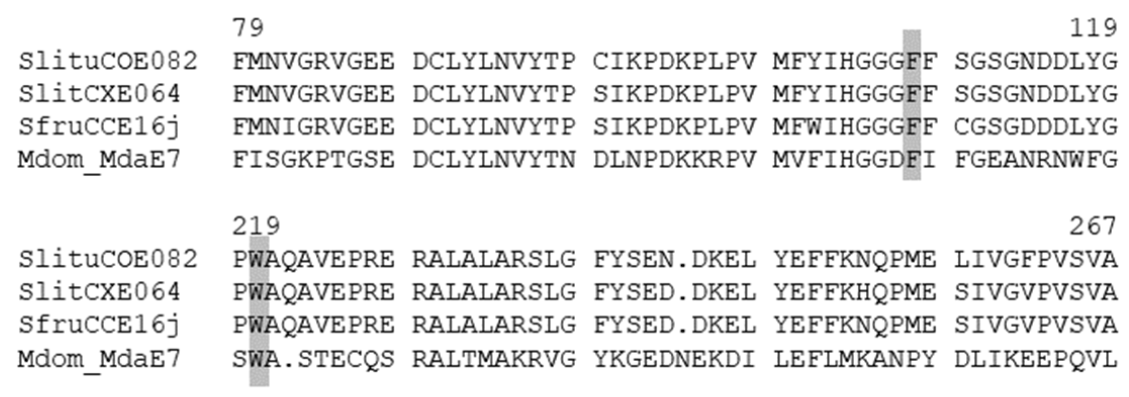 Insects 12 00544 g003