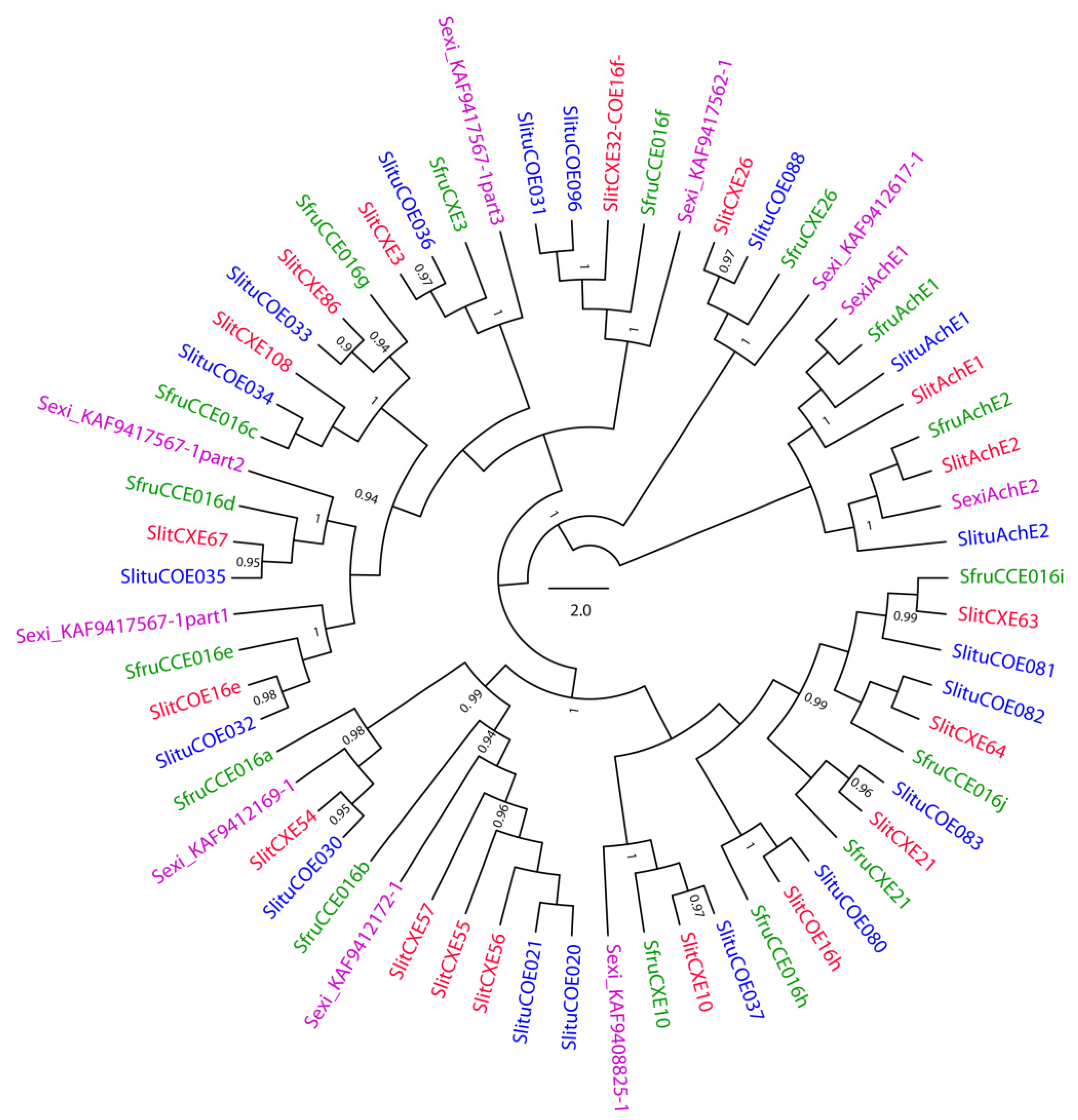 Insects 12 00544 g004