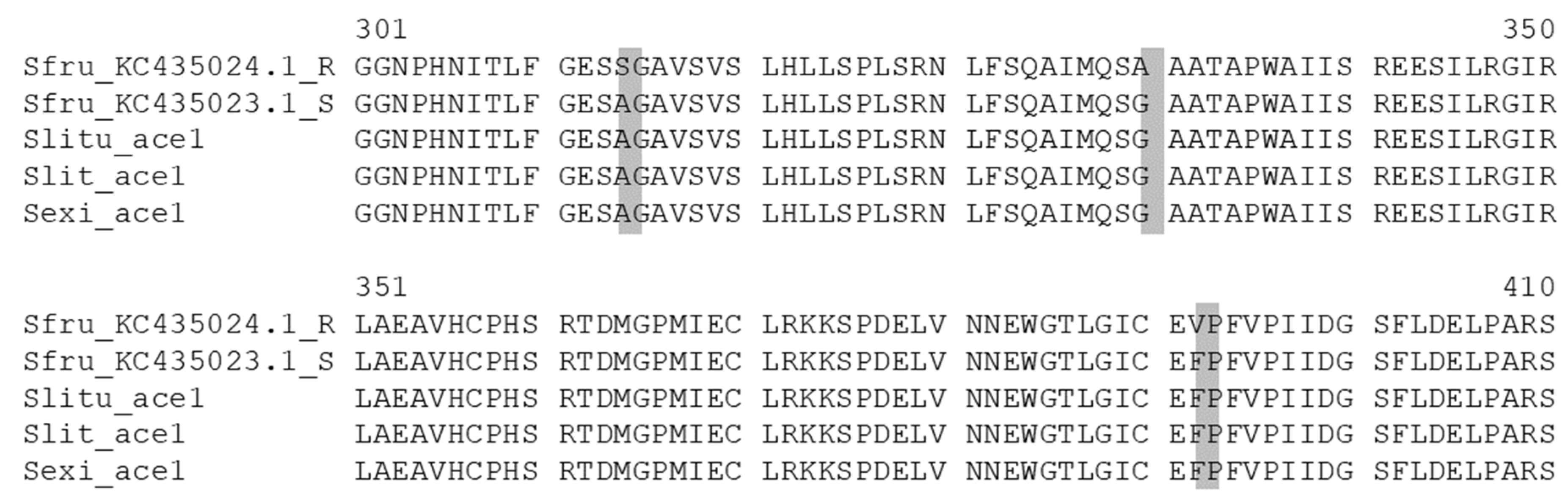 Insects 12 00544 g005