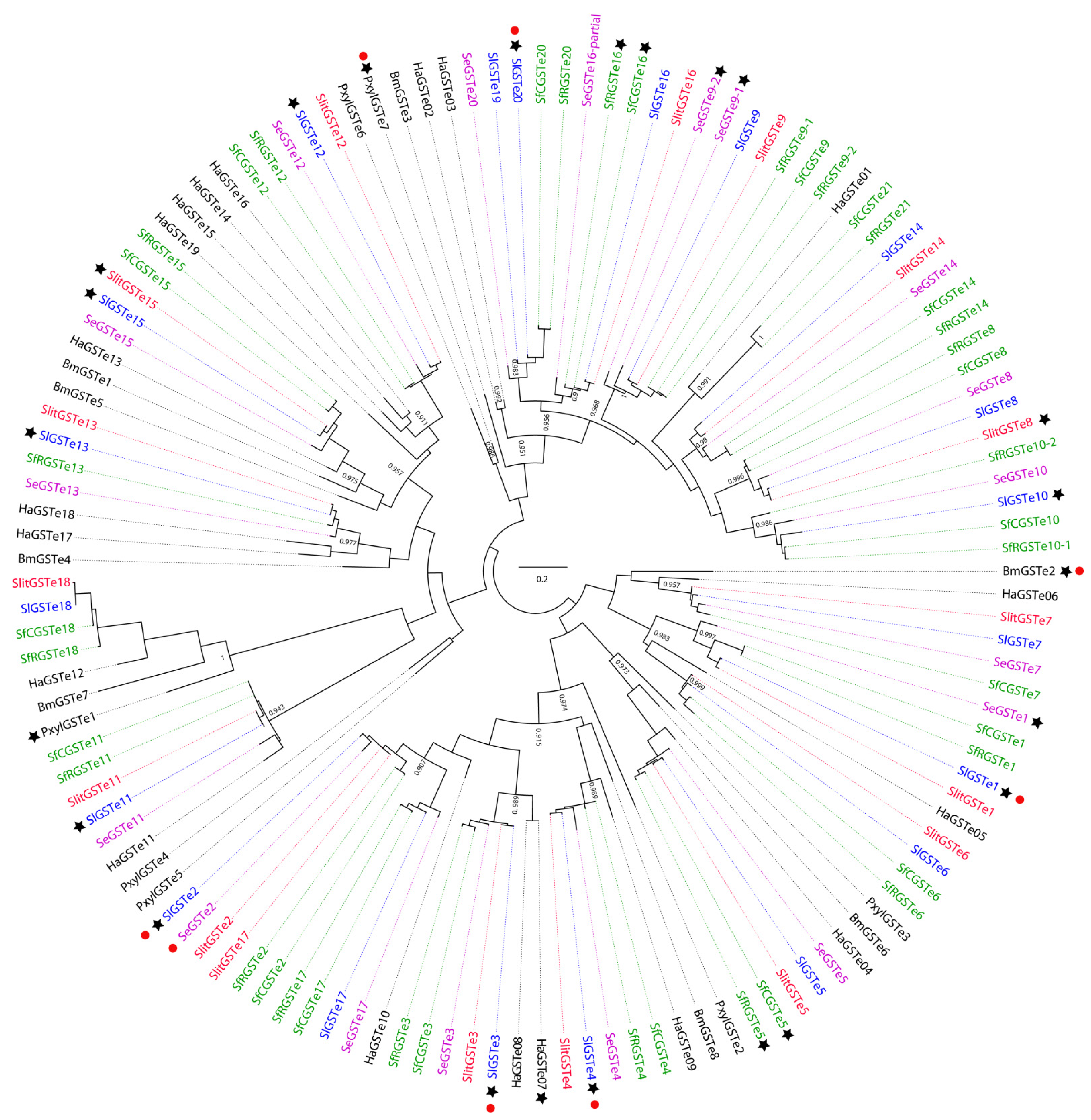 Insects 12 00544 g006