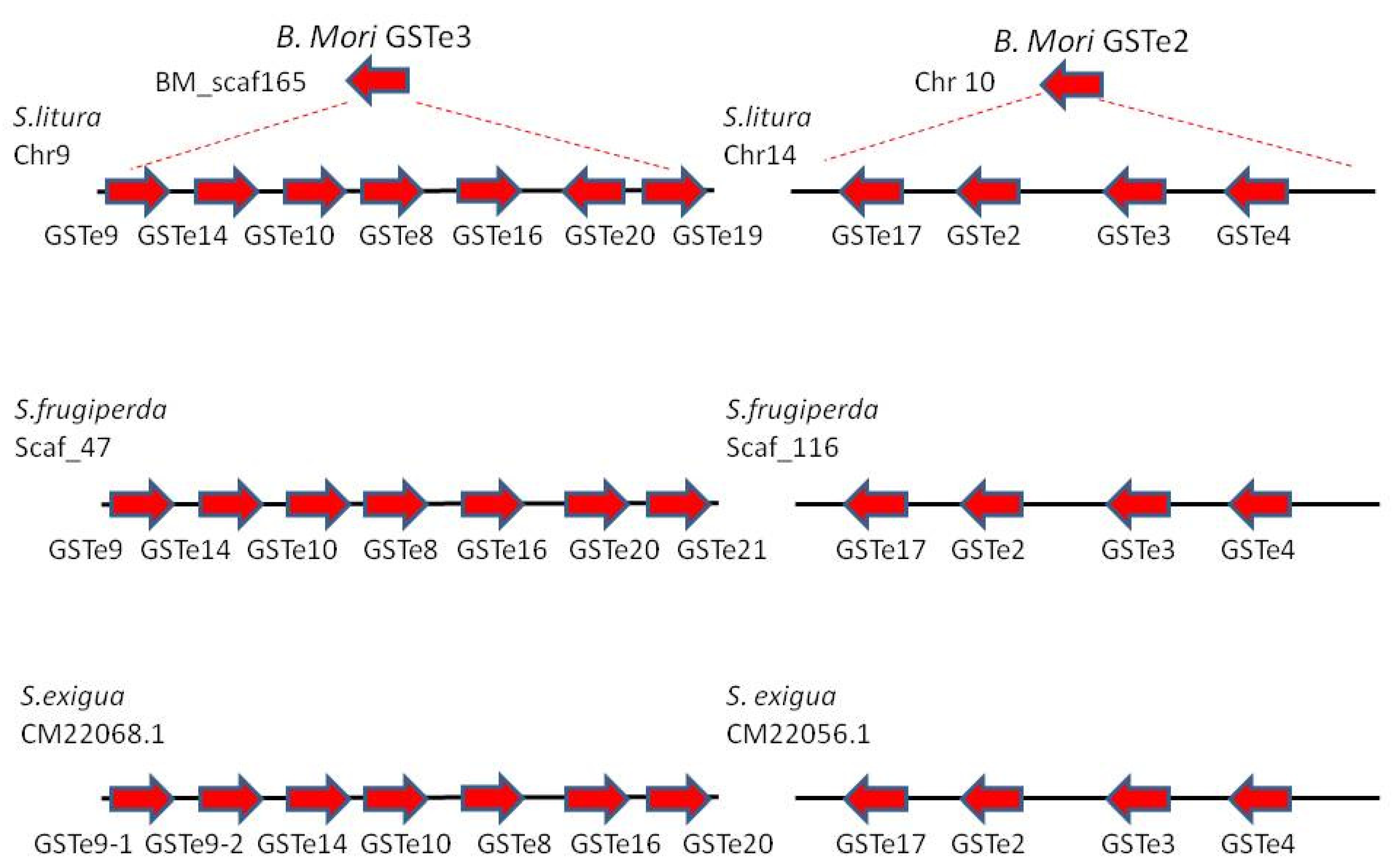 Insects 12 00544 g007