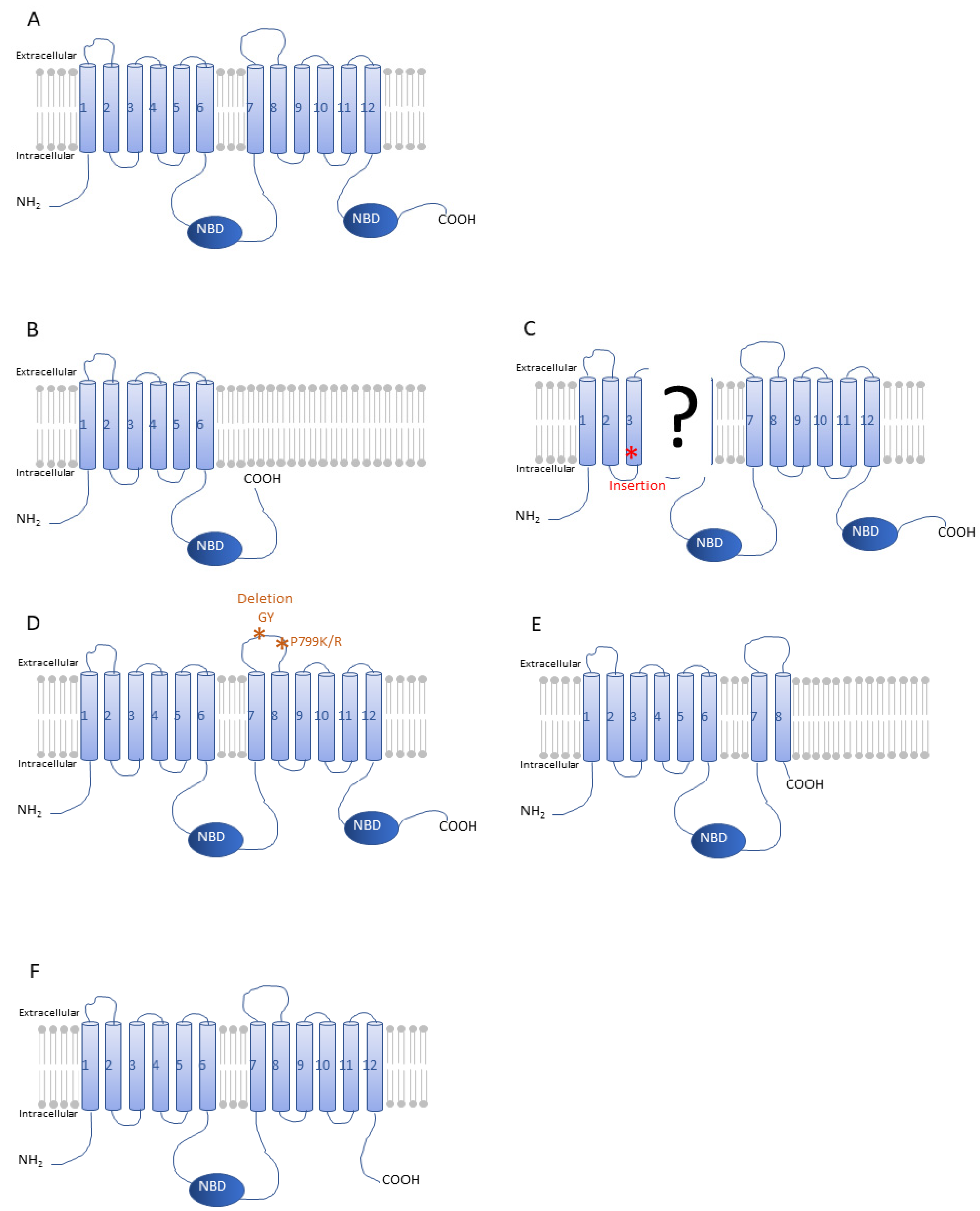 Insects 12 00544 g010