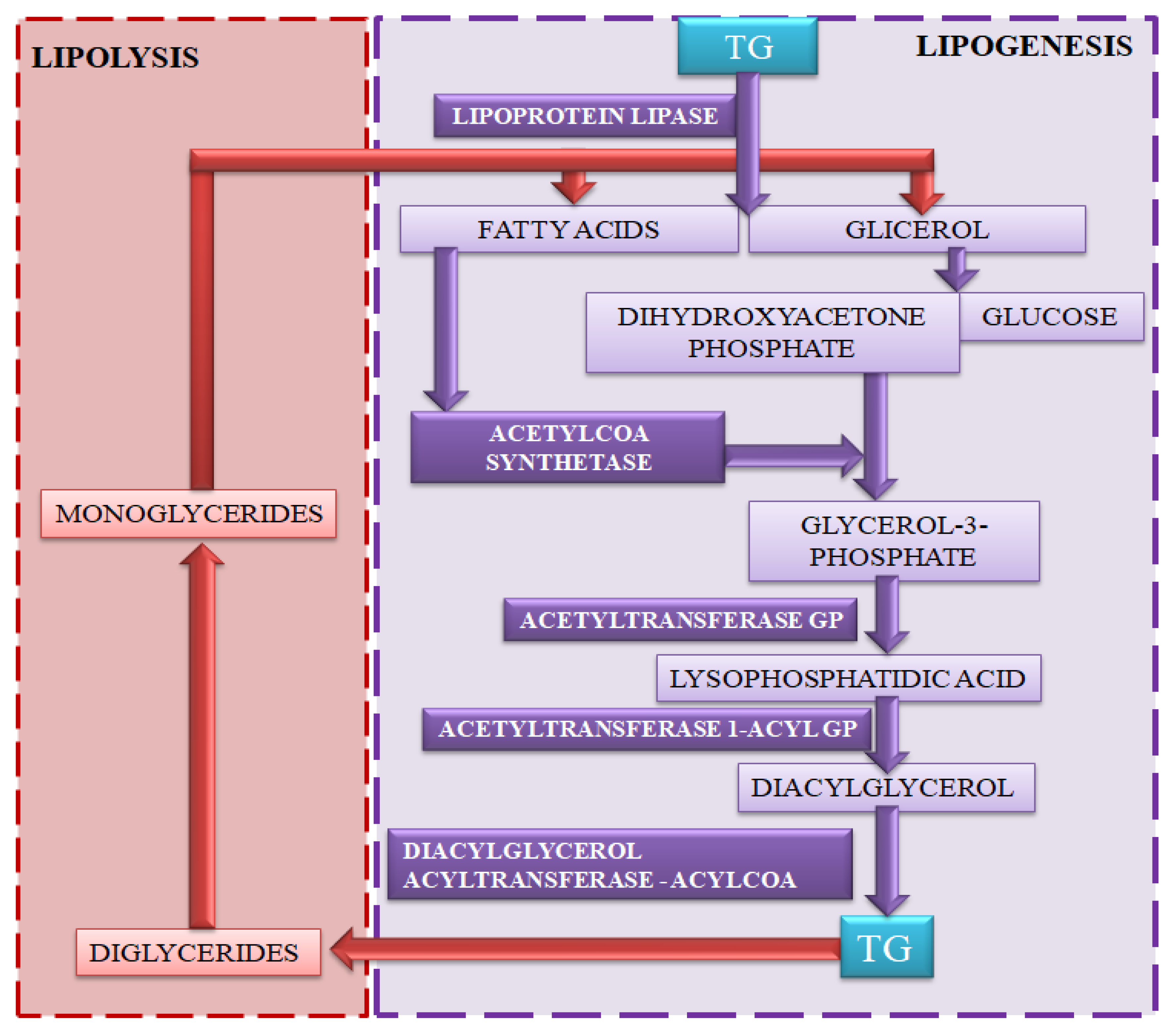 Insects 12 00547 sch003 Insects 12 00547 sch003