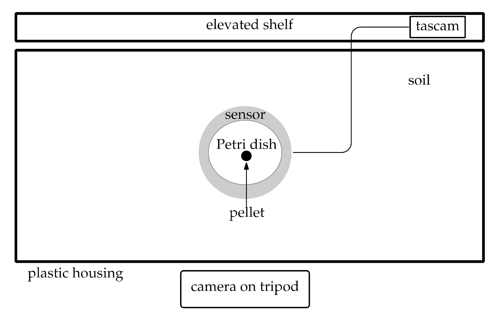 Insects 12 00548 g002