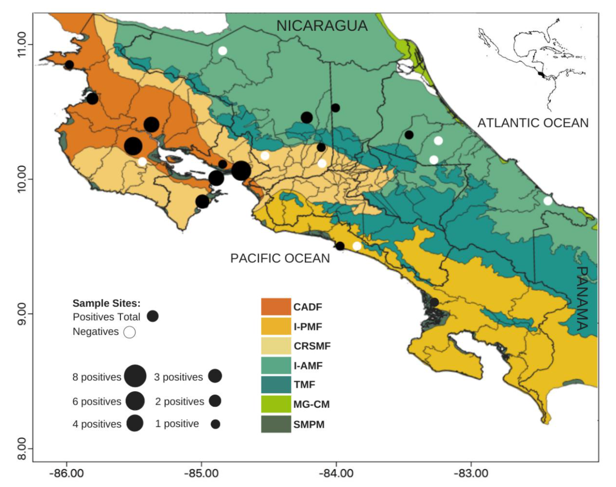 Insects 12 00554 g002