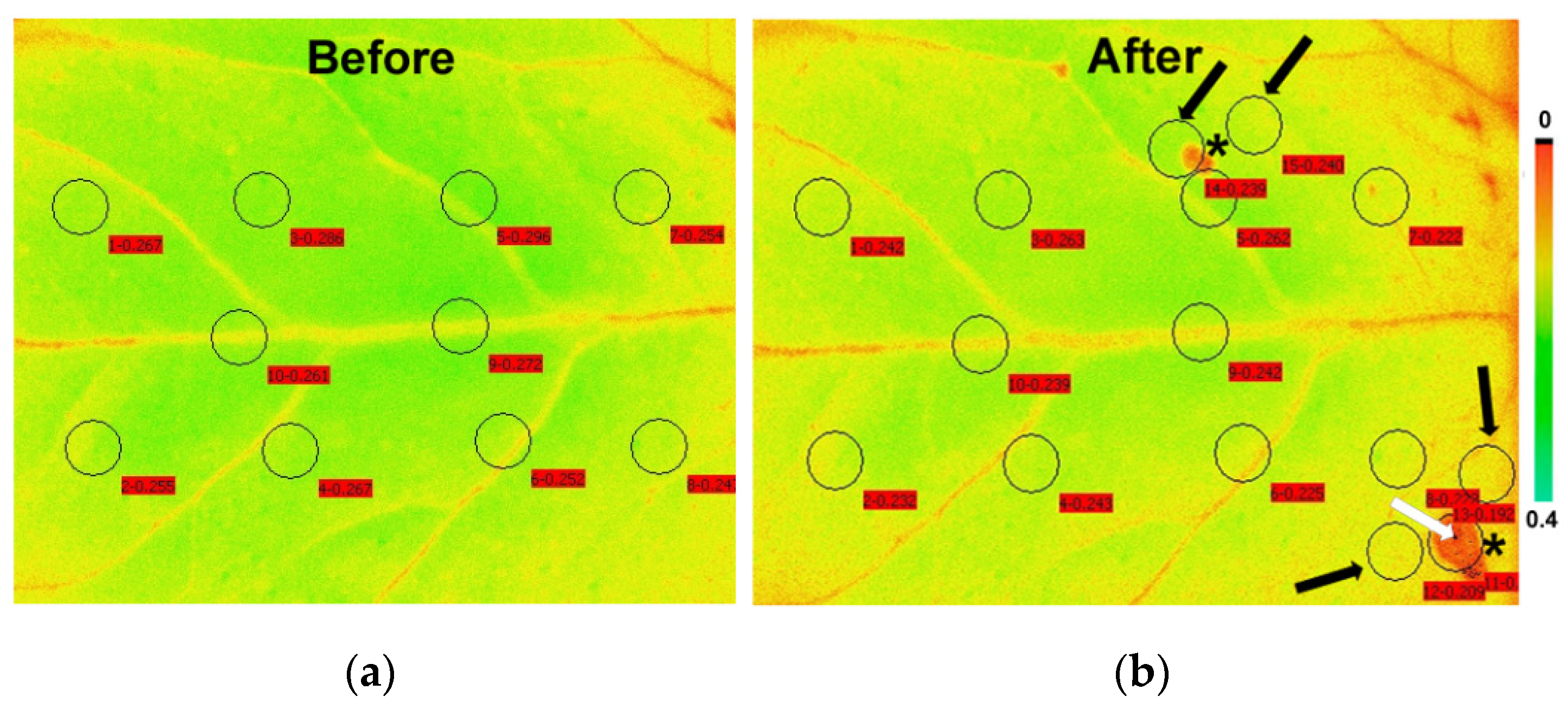 Insects 12 00562 g002