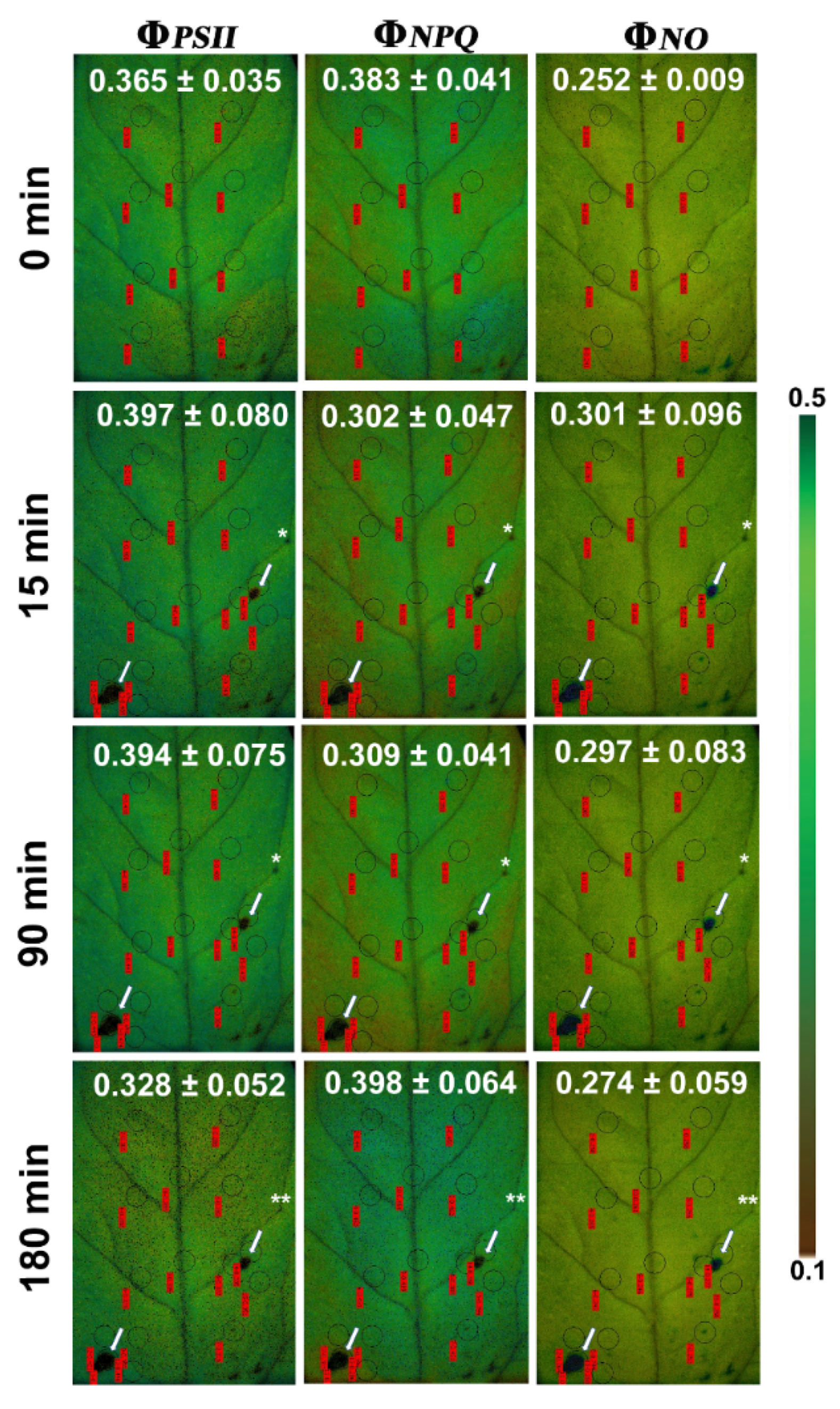 Insects 12 00562 g005