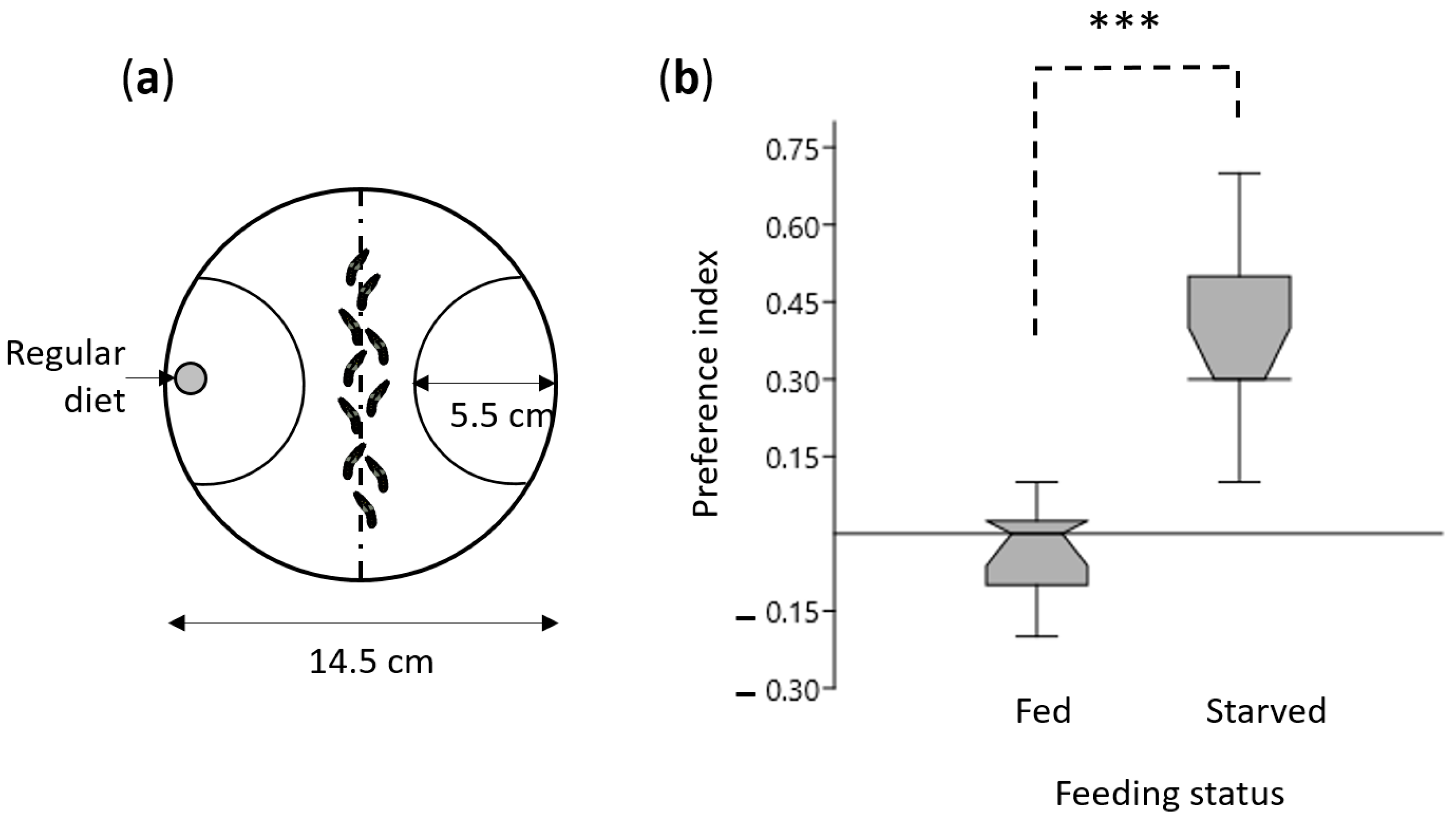 Insects 12 00573 g001