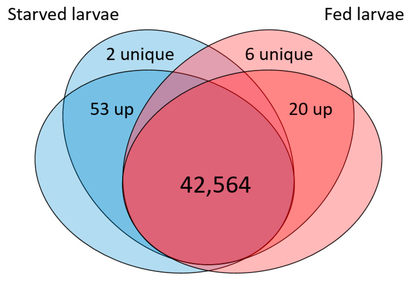 Insects 12 00573 g002