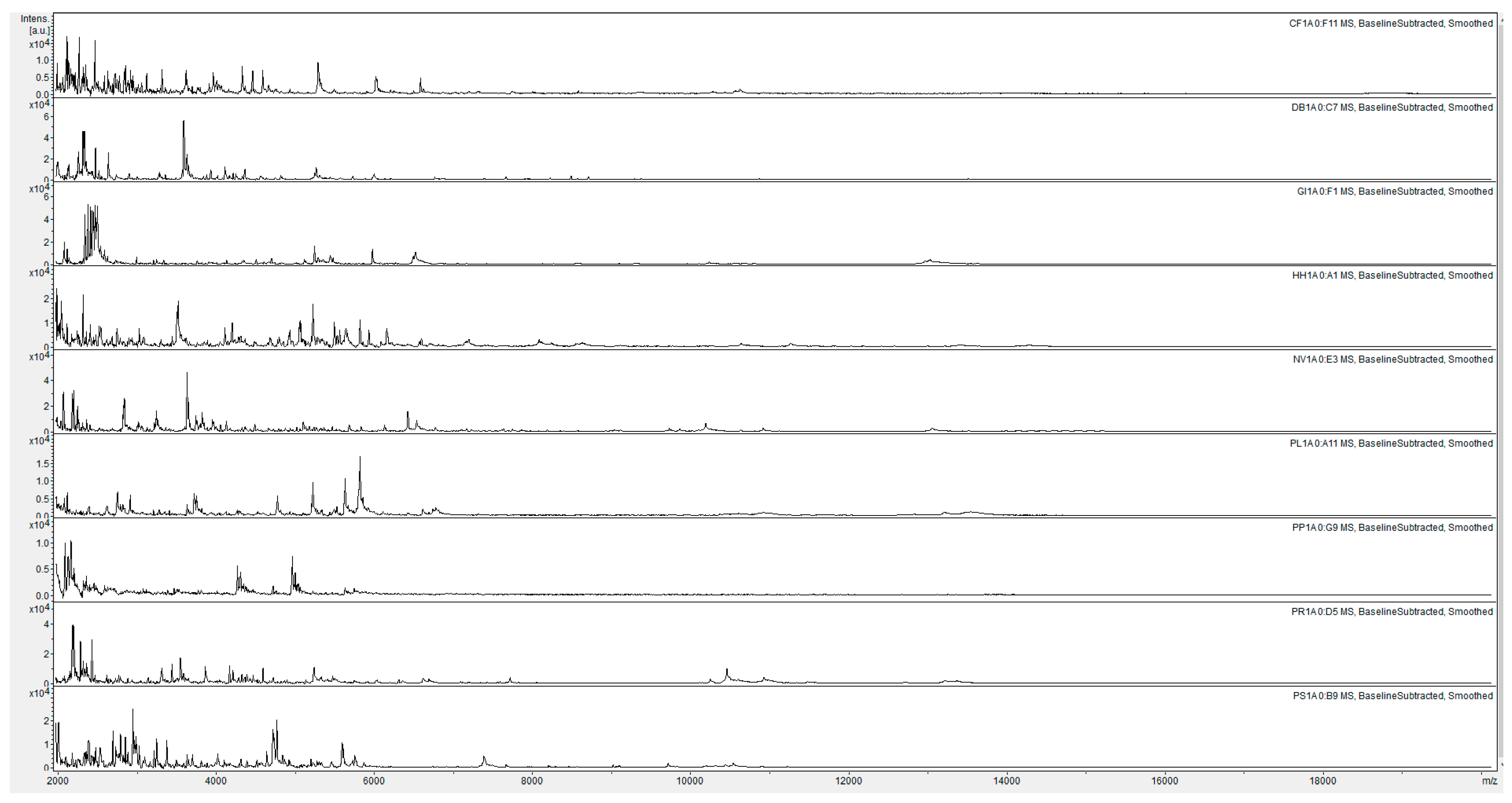 Insects 12 00587 g001