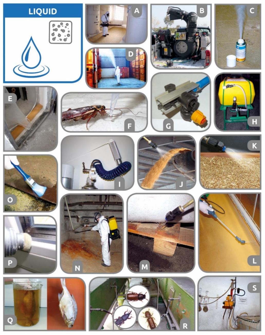 Insects 12 00590 g003