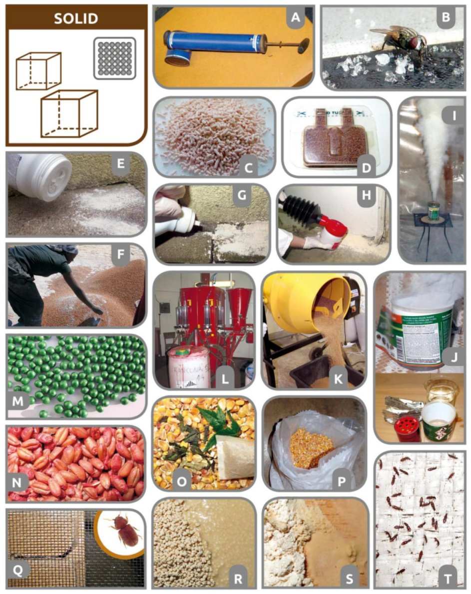 Insects 12 00590 g005