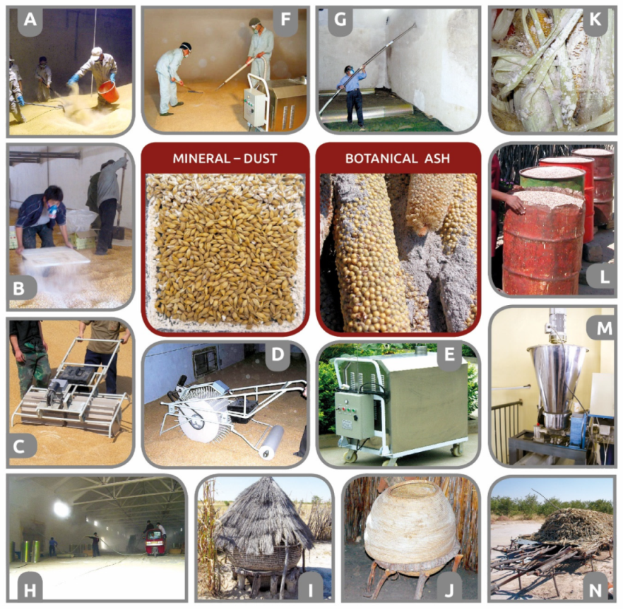 Insects 12 00590 g006