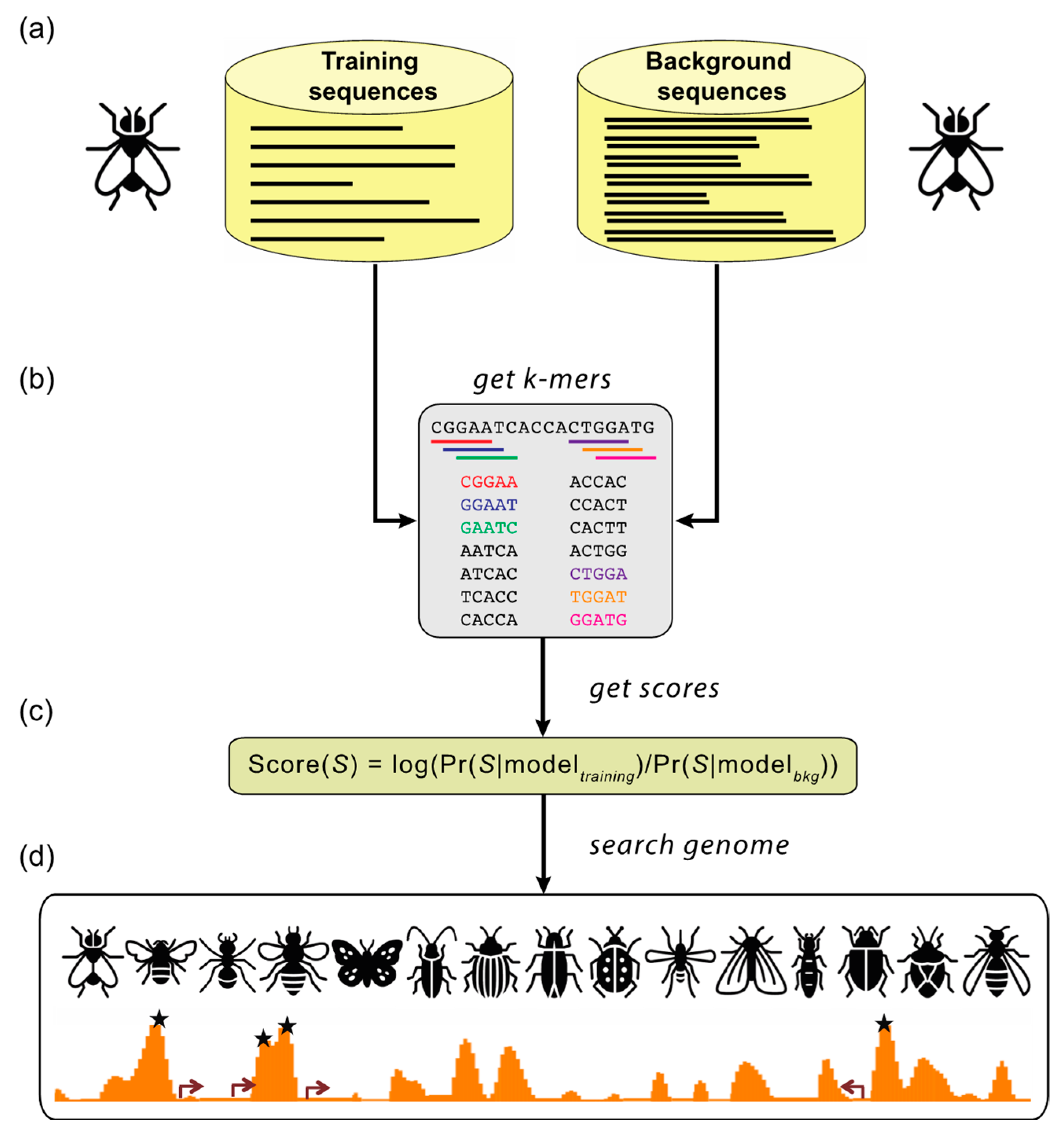 Insects 12 00591 g002