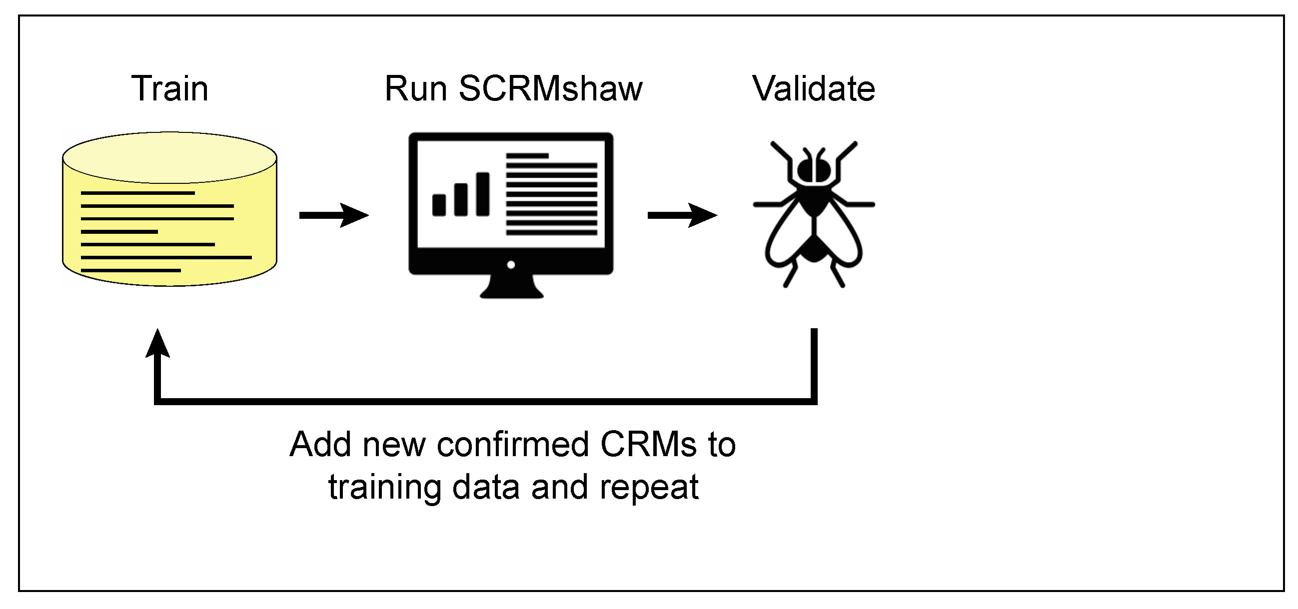 Insects 12 00591 g003