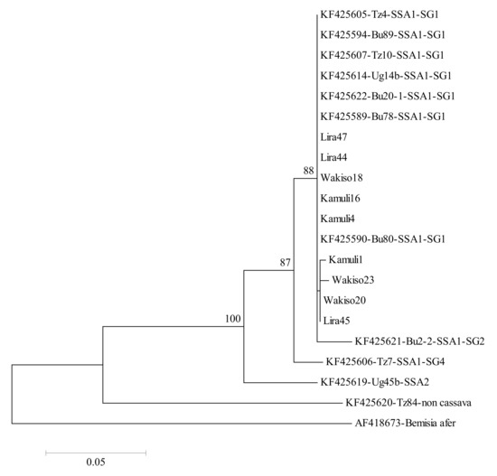 Insects 12 00604 g0a1
