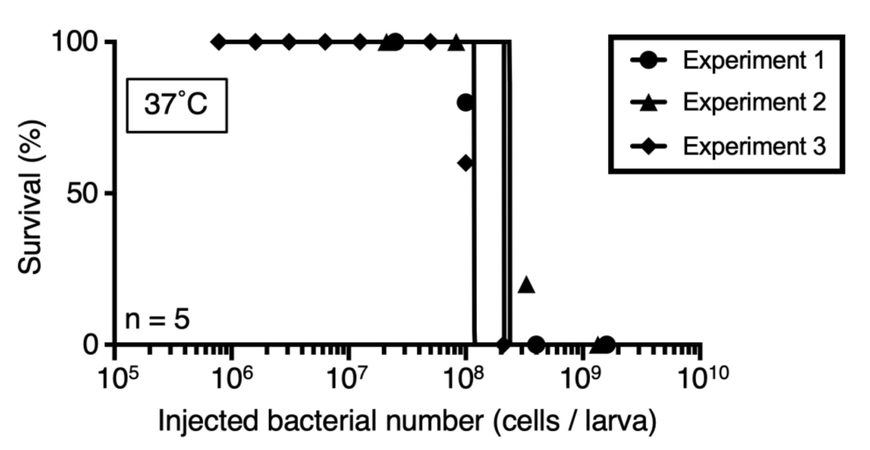 Insects 12 00619 g002