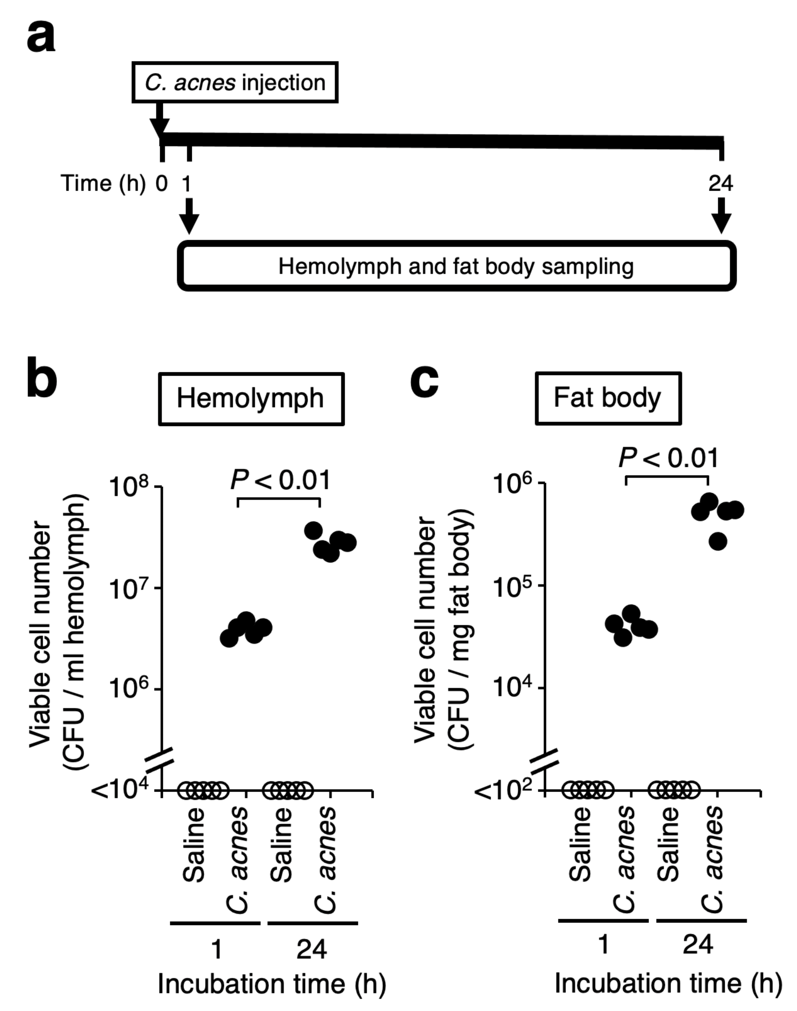 Insects 12 00619 g003