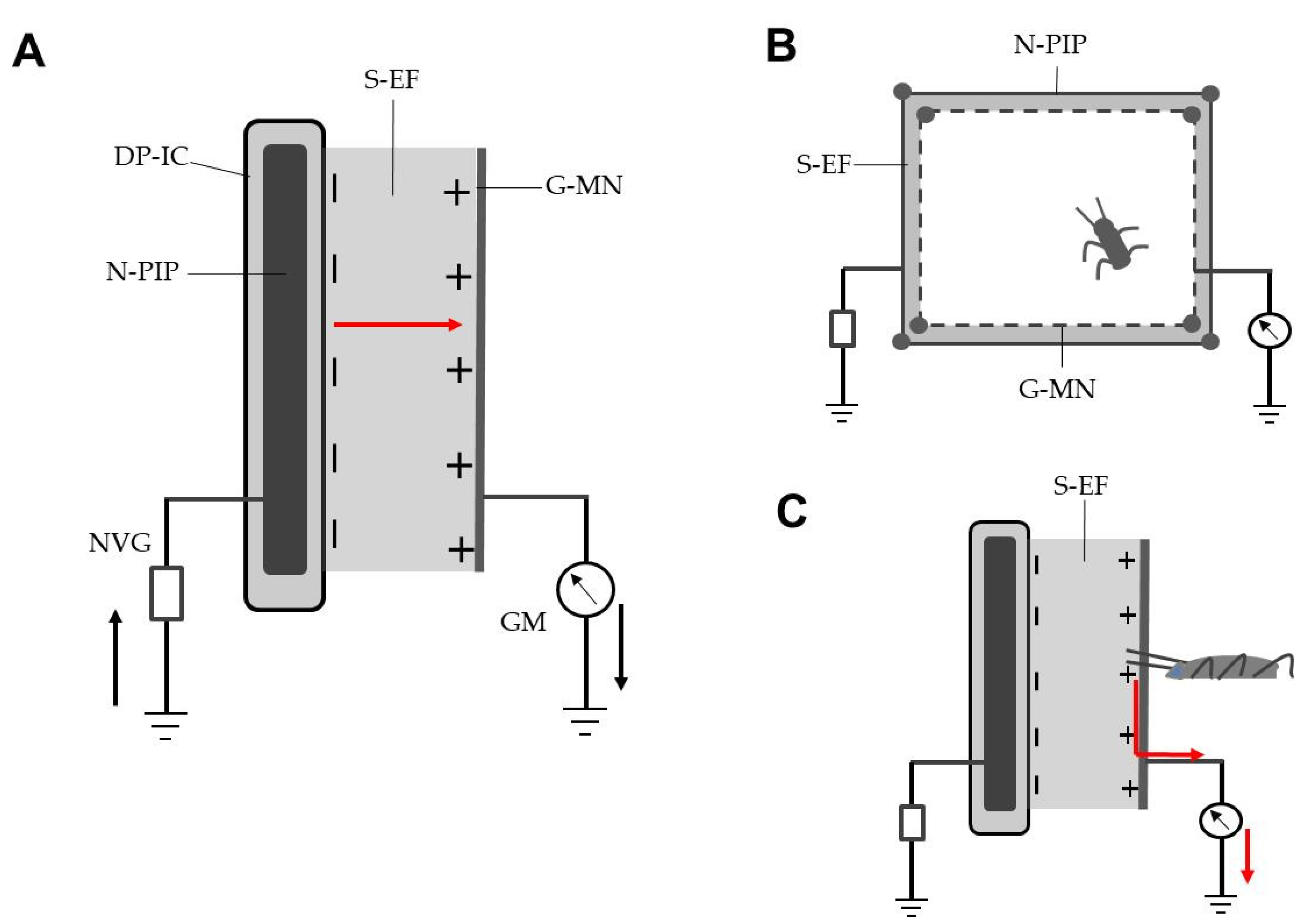 Insects 12 00621 g001