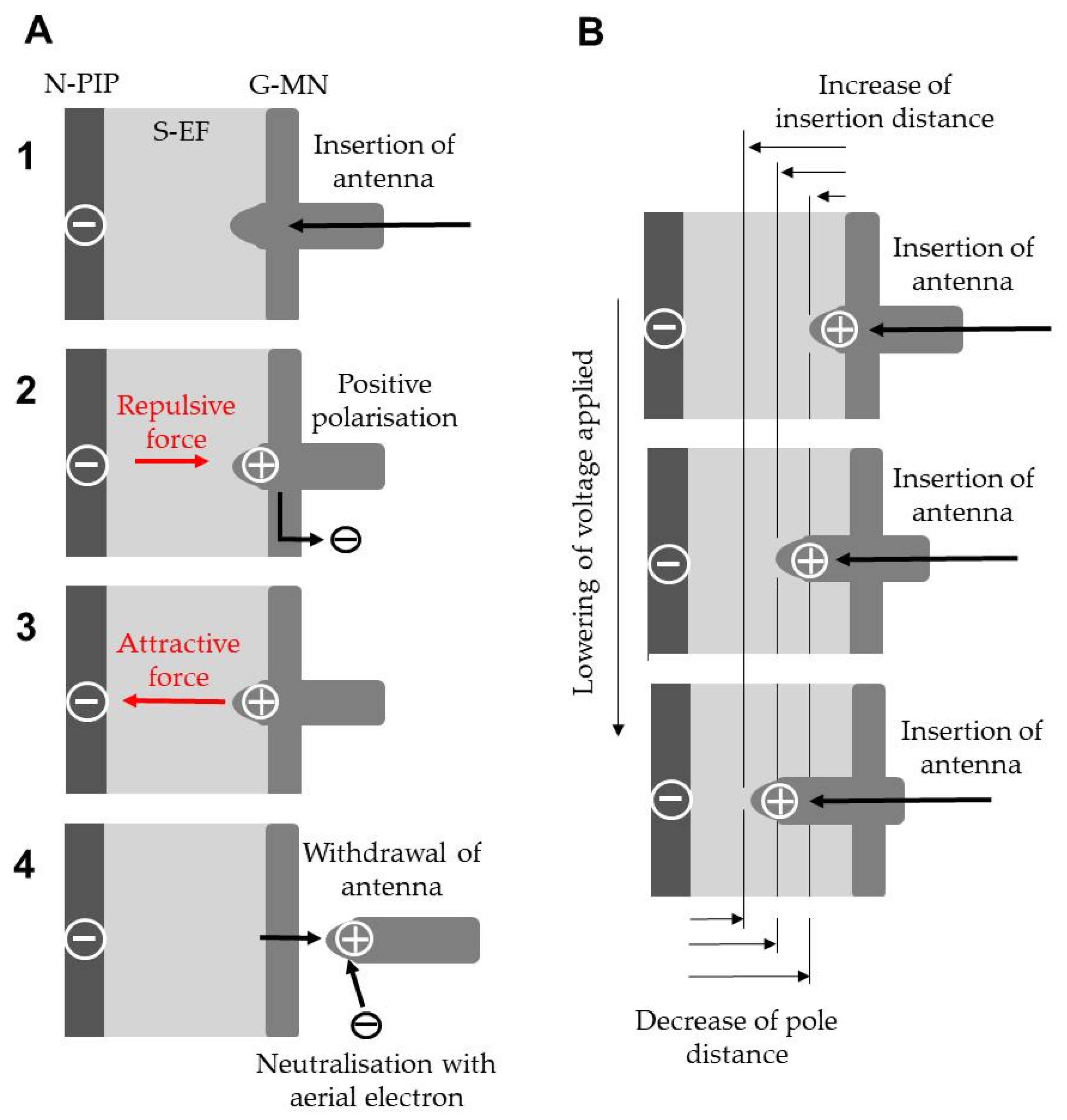 Insects 12 00621 g004