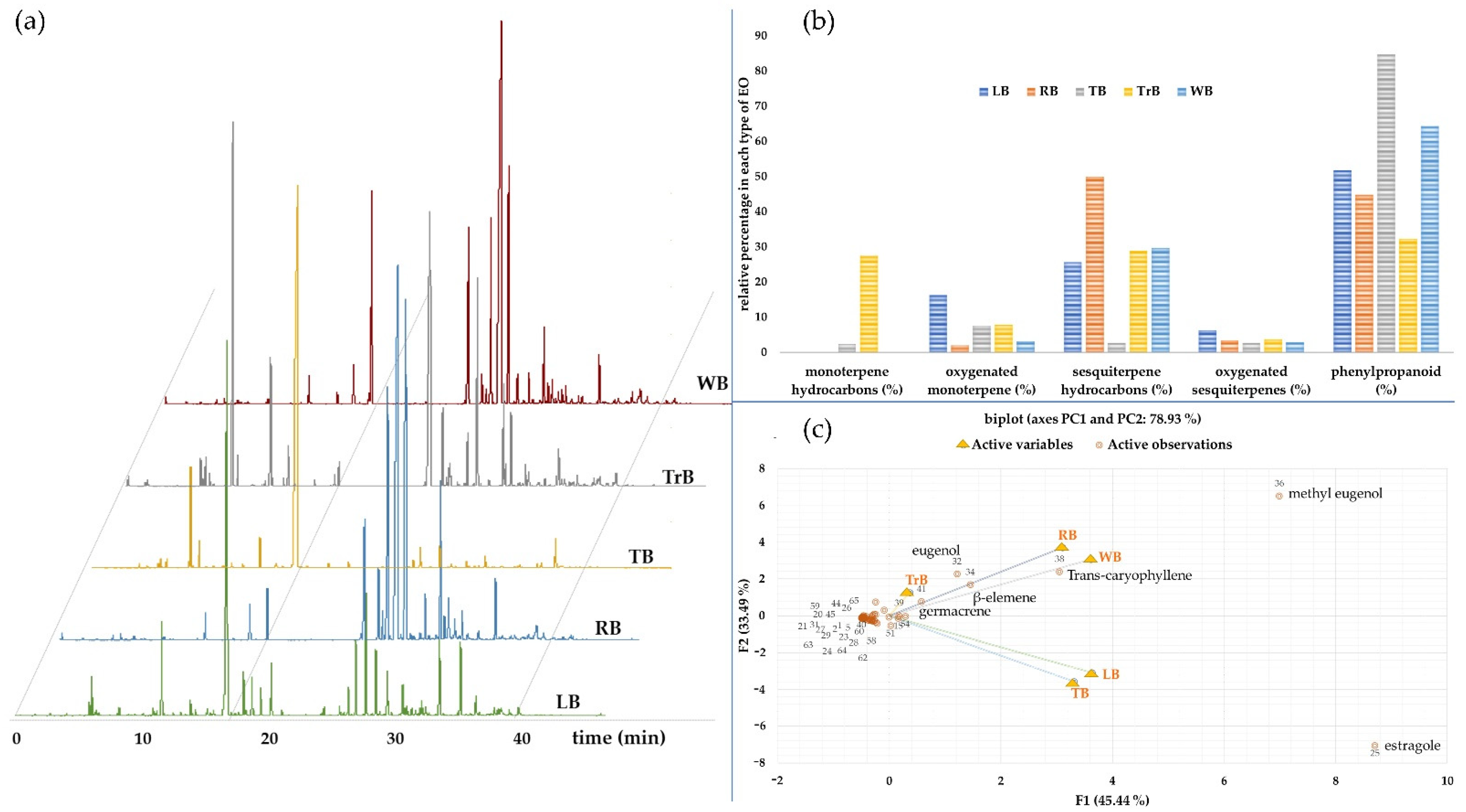 Insects 12 00633 g001