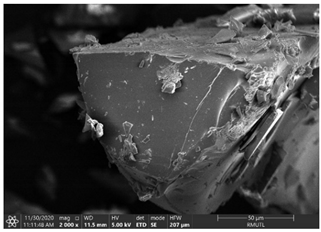 Insects 12 00633 i001