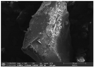 Insects 12 00633 i002