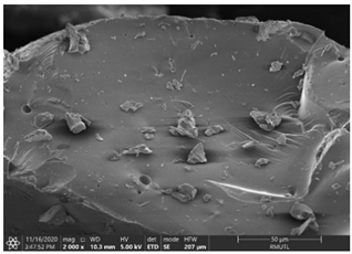 Insects 12 00633 i003