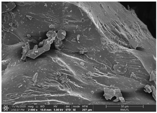 Insects 12 00633 i004