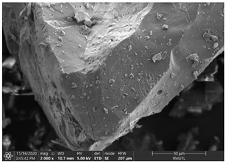 Insects 12 00633 i005