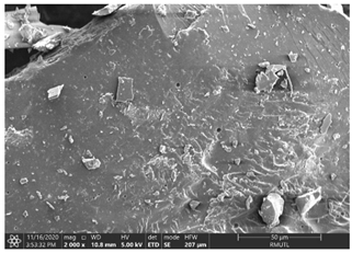 Insects 12 00633 i006