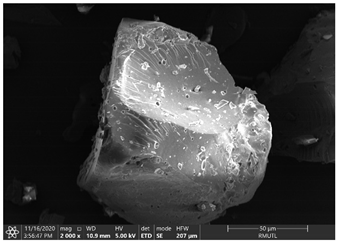 Insects 12 00633 i007