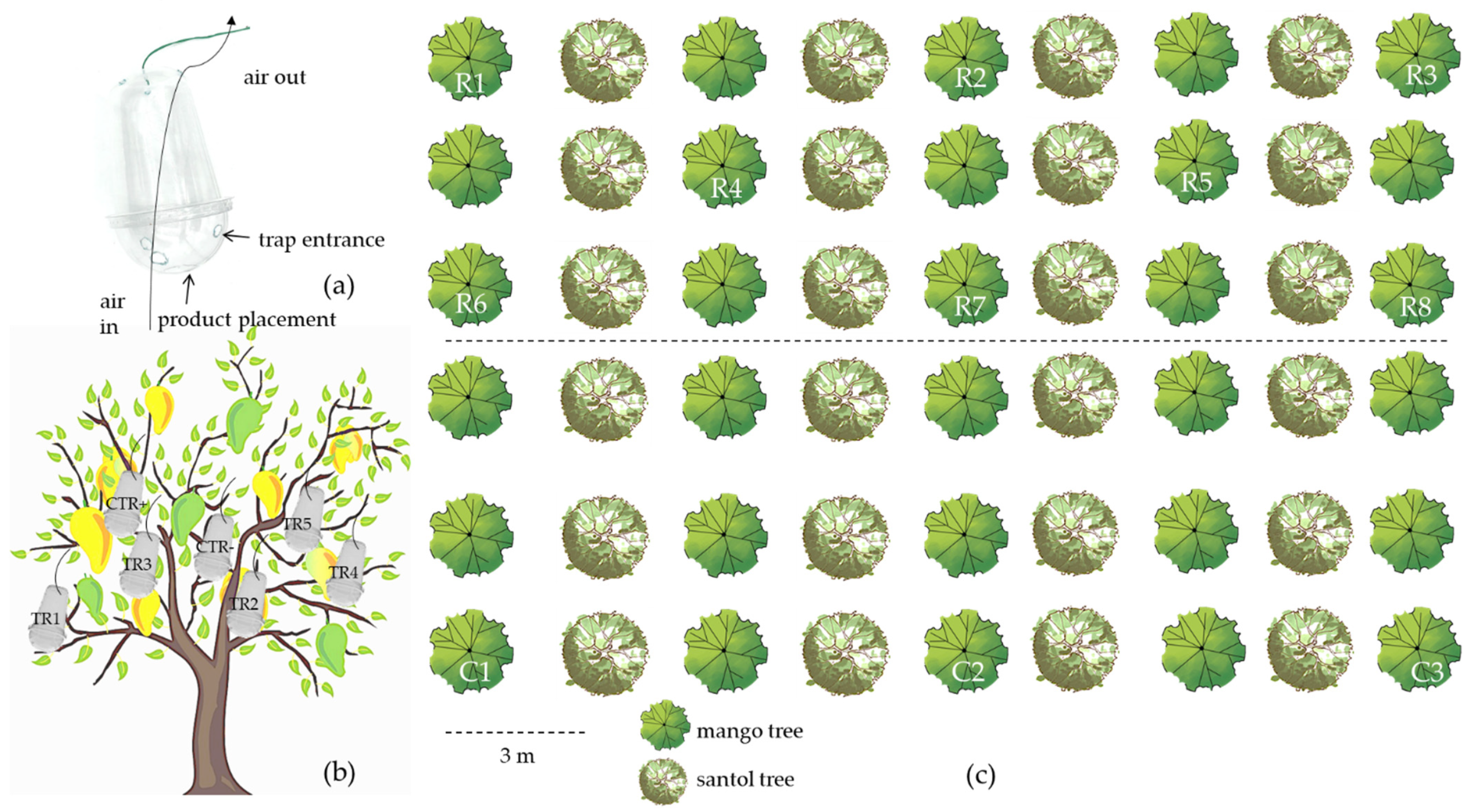 Insects 12 00633 sch002