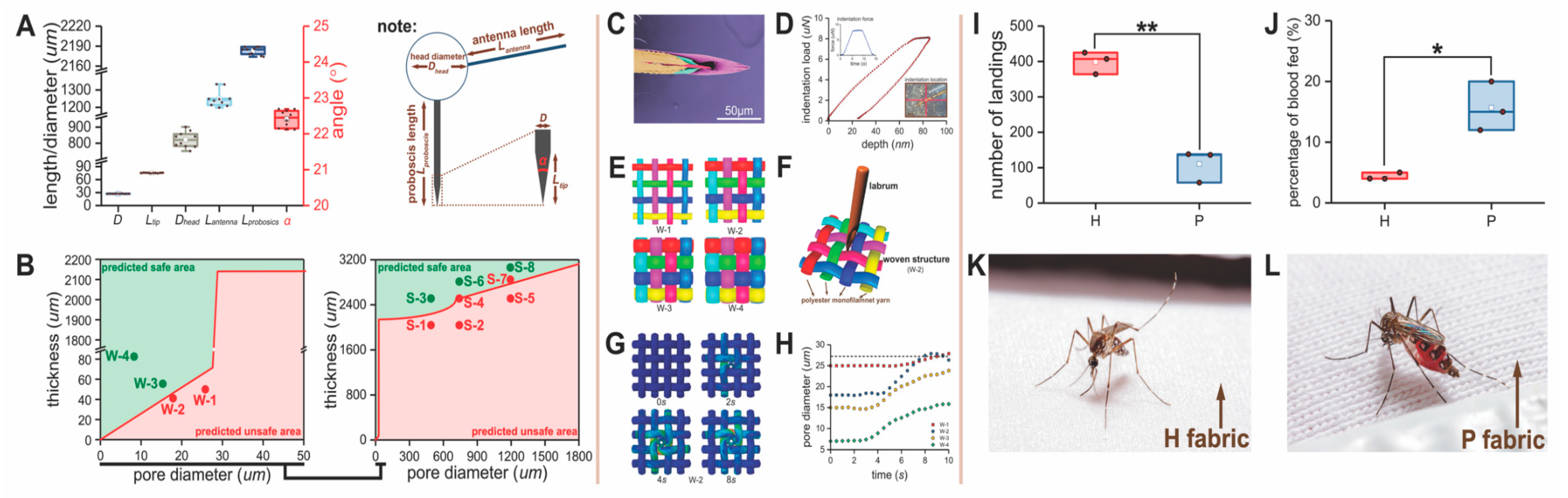 Insects 12 00636 g003