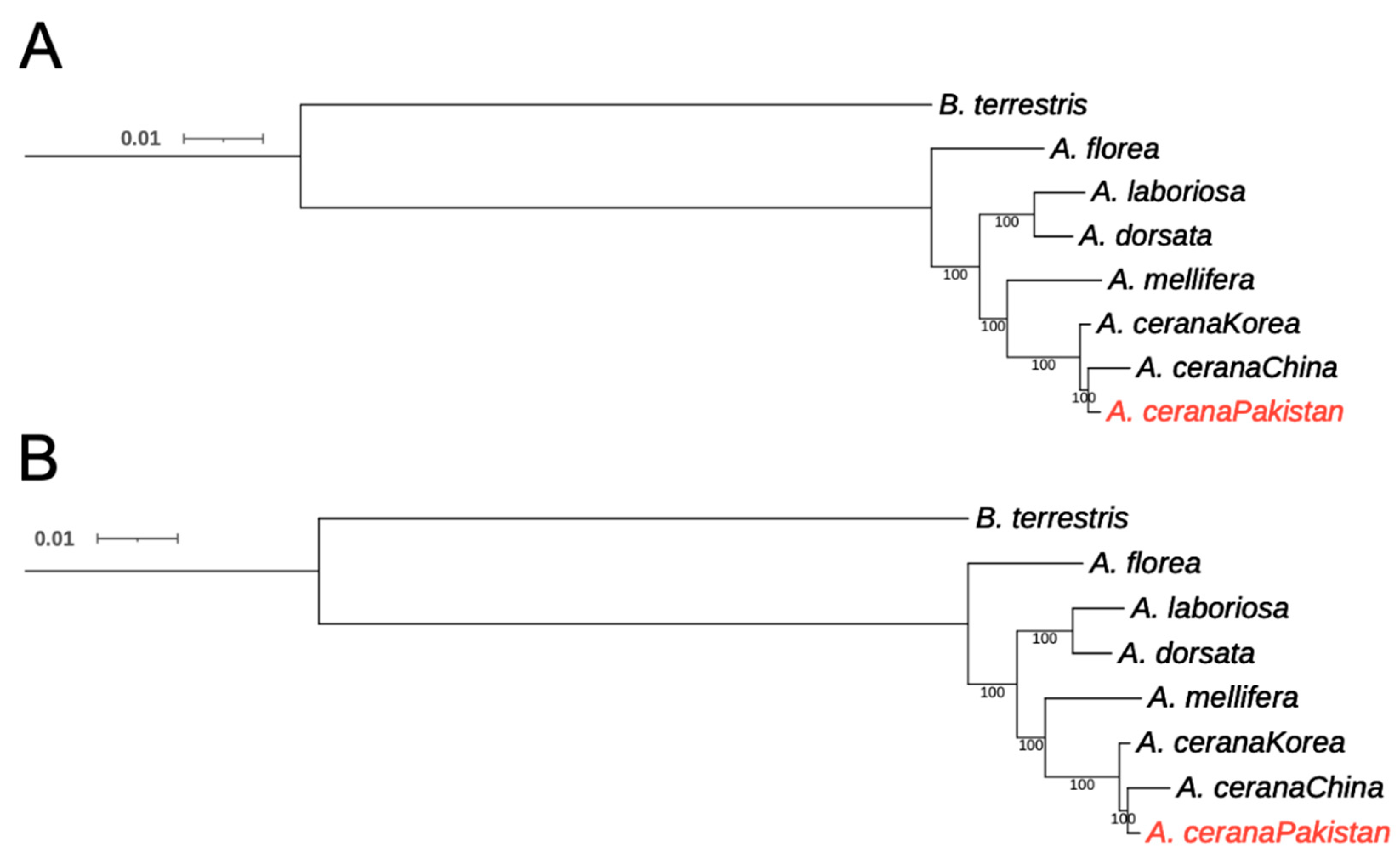 Insects 12 00652 g001