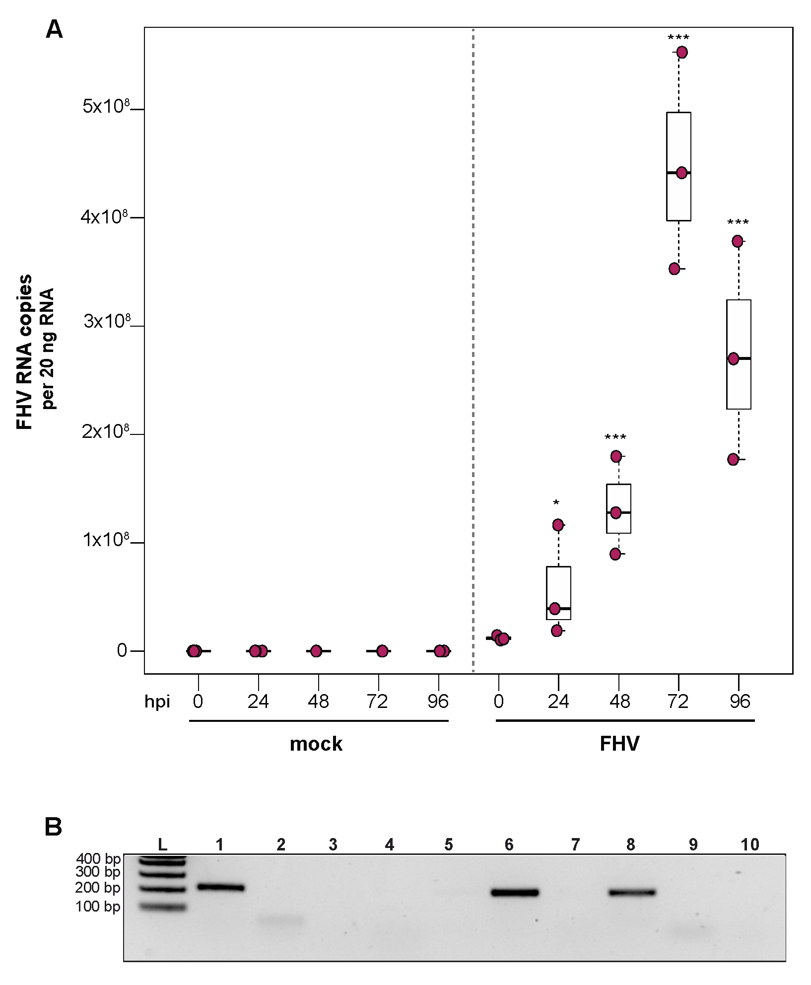 Insects 12 00653 g004