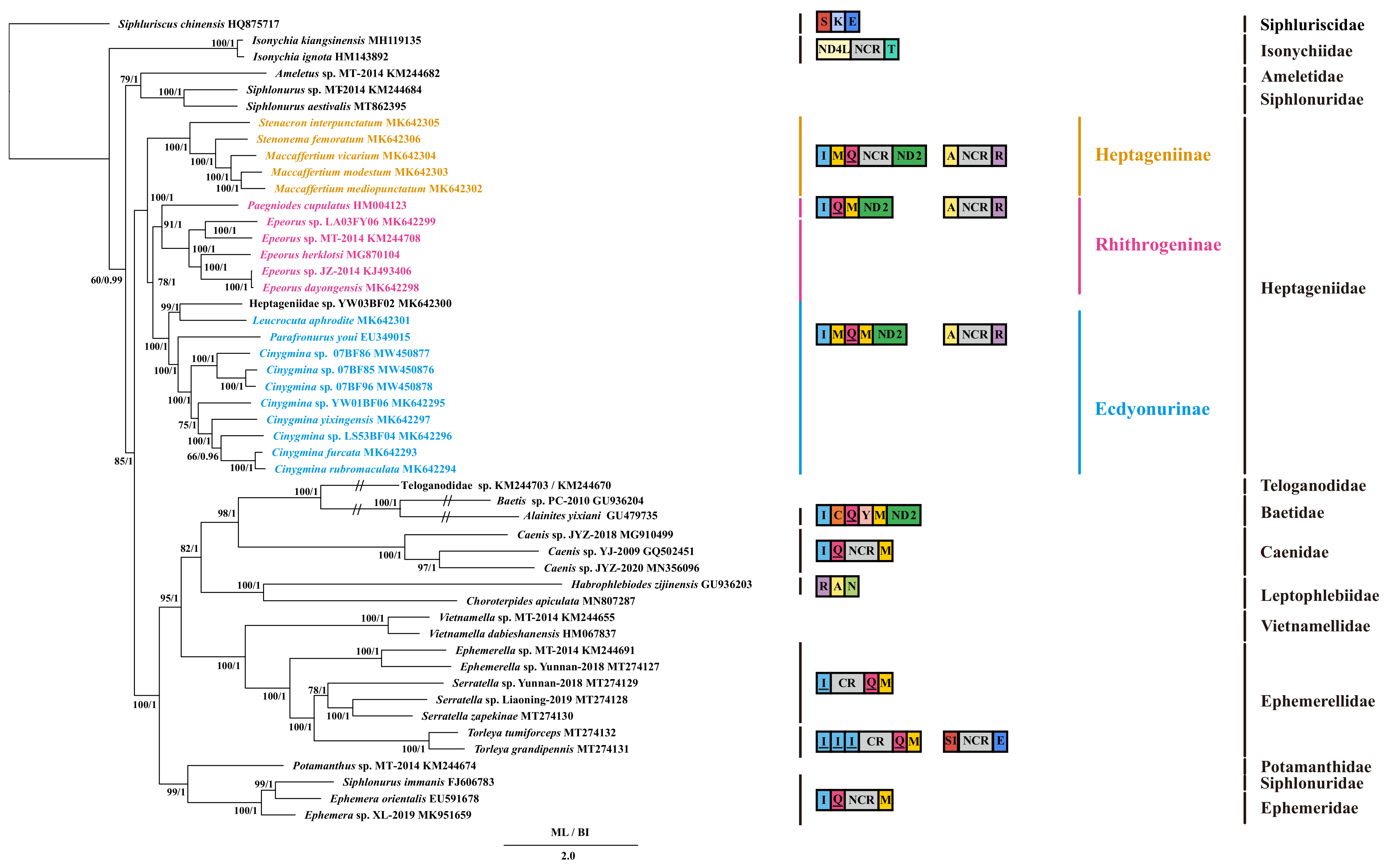 Insects 12 00656 g003