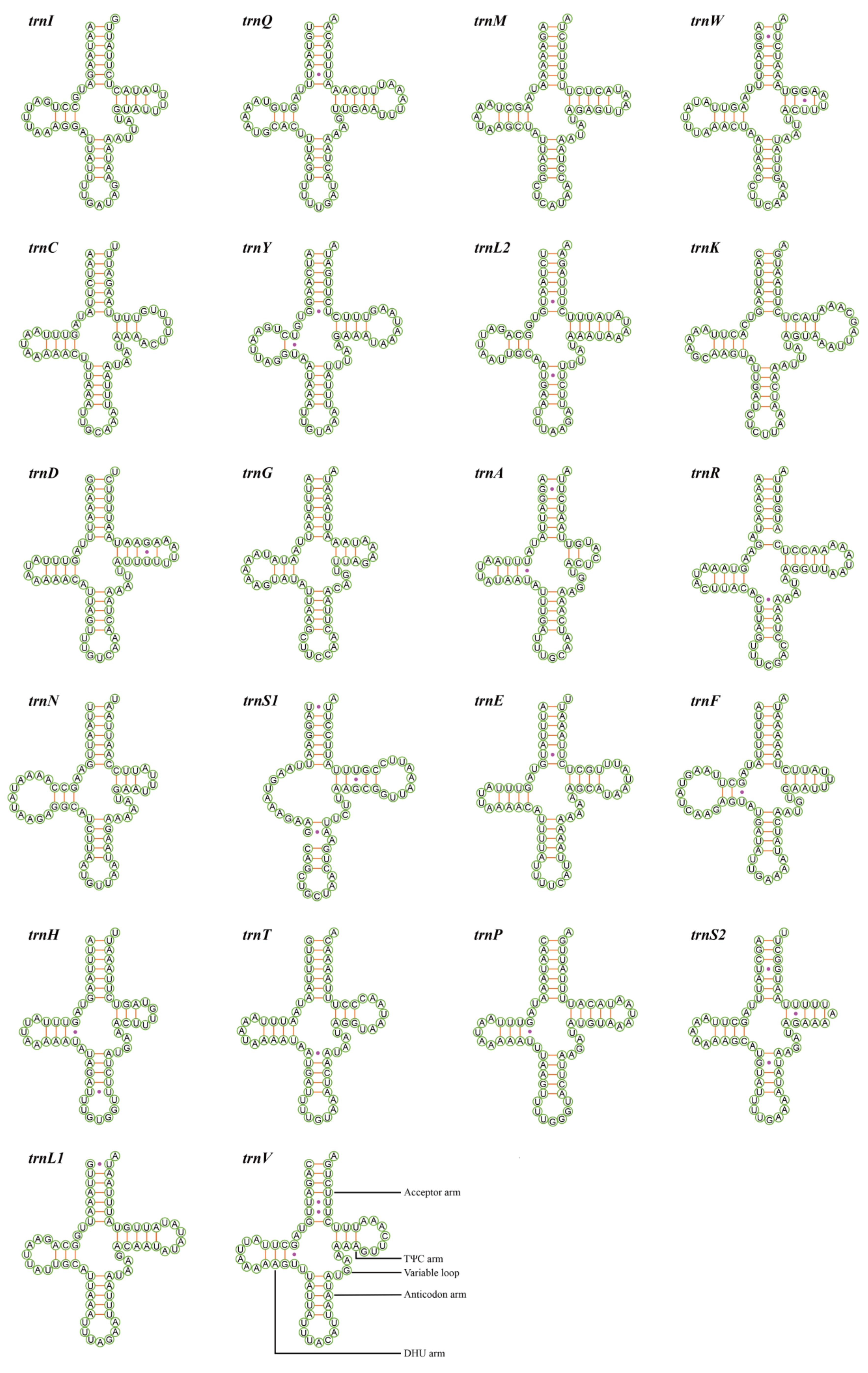 Insects 12 00668 g004 Insects 12 00668 g004