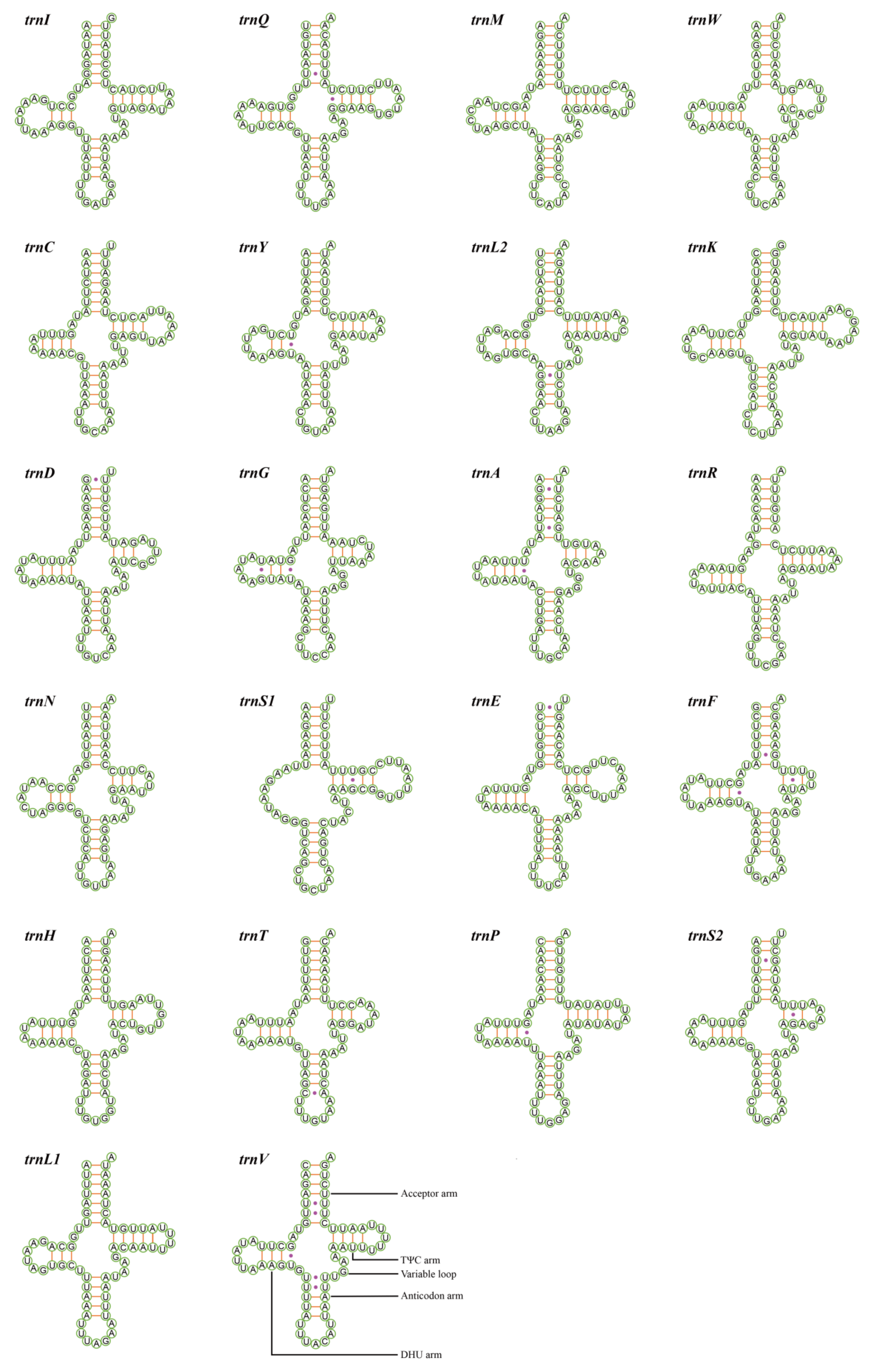 Insects 12 00668 g005 Insects 12 00668 g005
