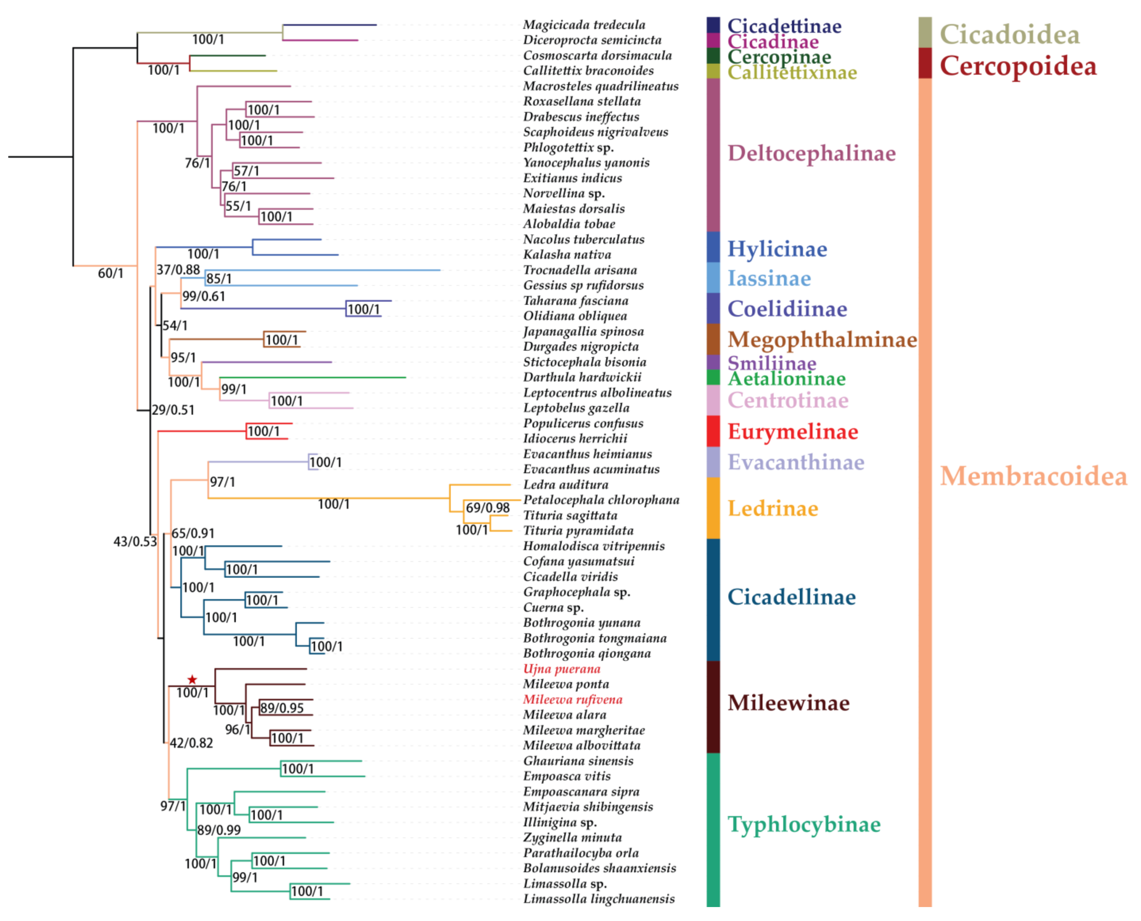 Insects 12 00668 g008 Insects 12 00668 g008