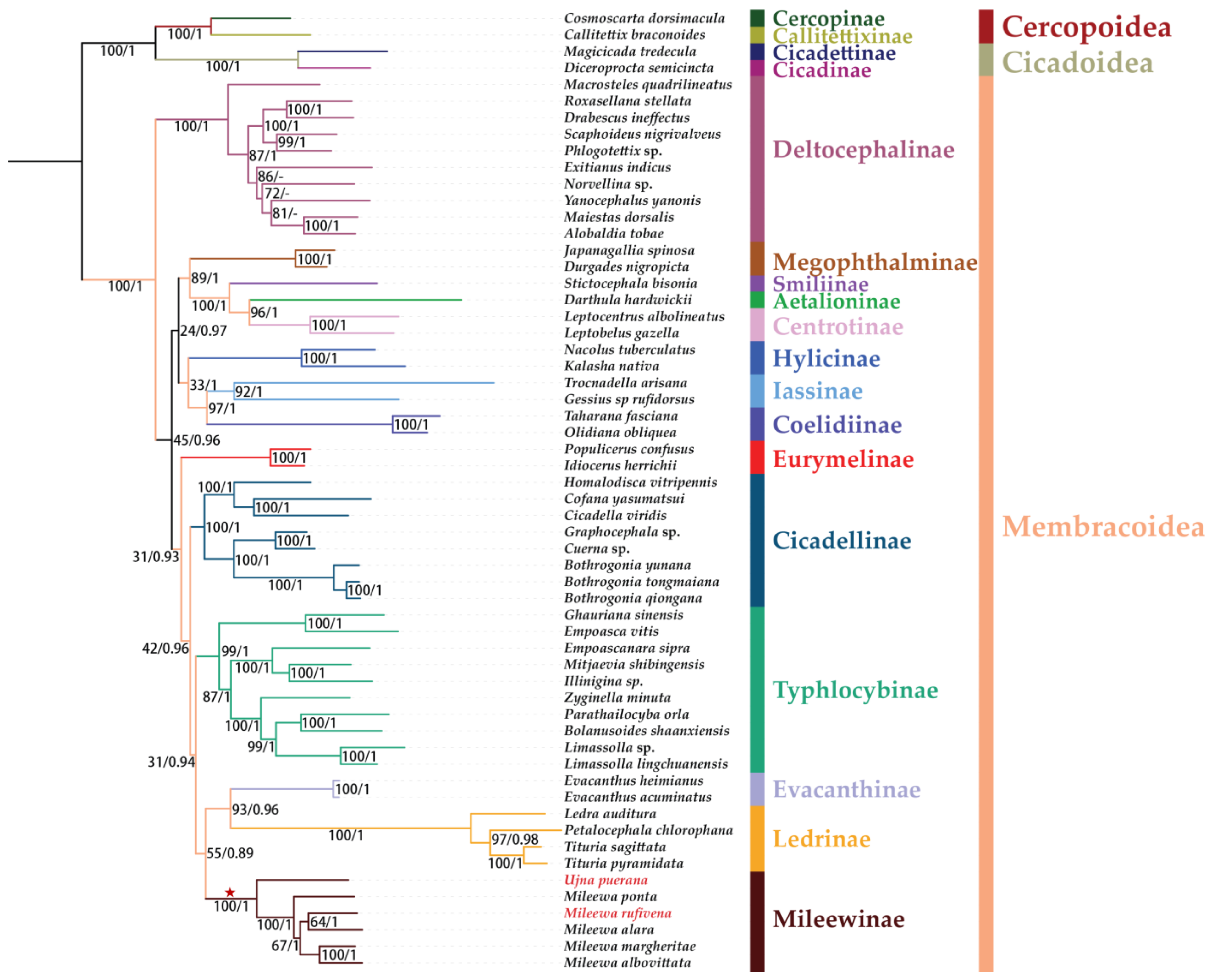 Insects 12 00668 g009 Insects 12 00668 g009