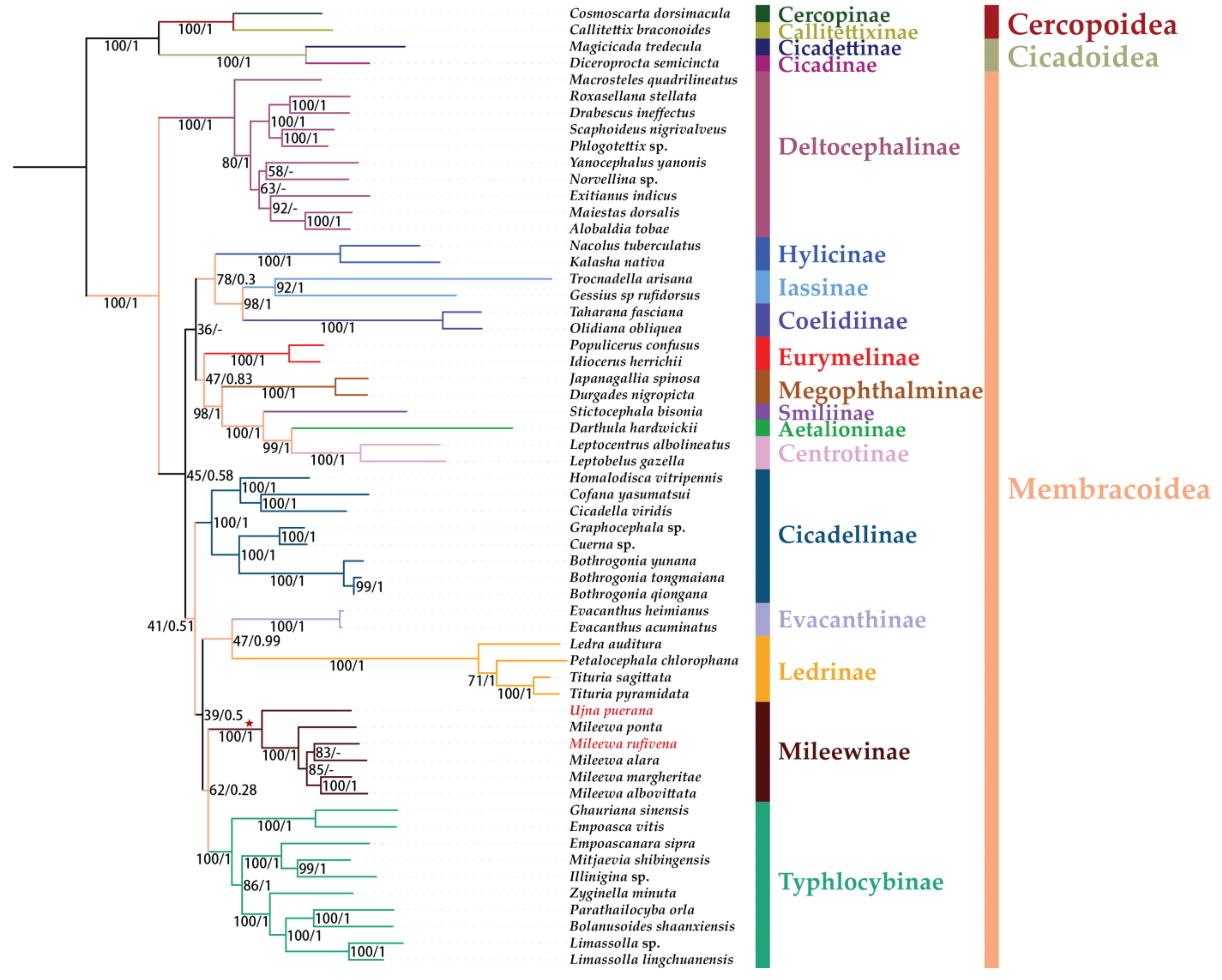 Insects 12 00668 g010 Insects 12 00668 g010